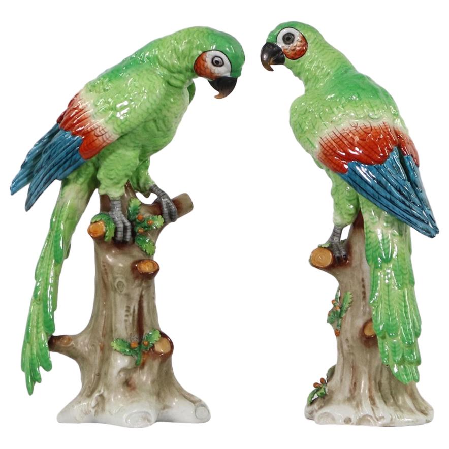 Edme Samson Porcelain Parrots on Trunks in Green