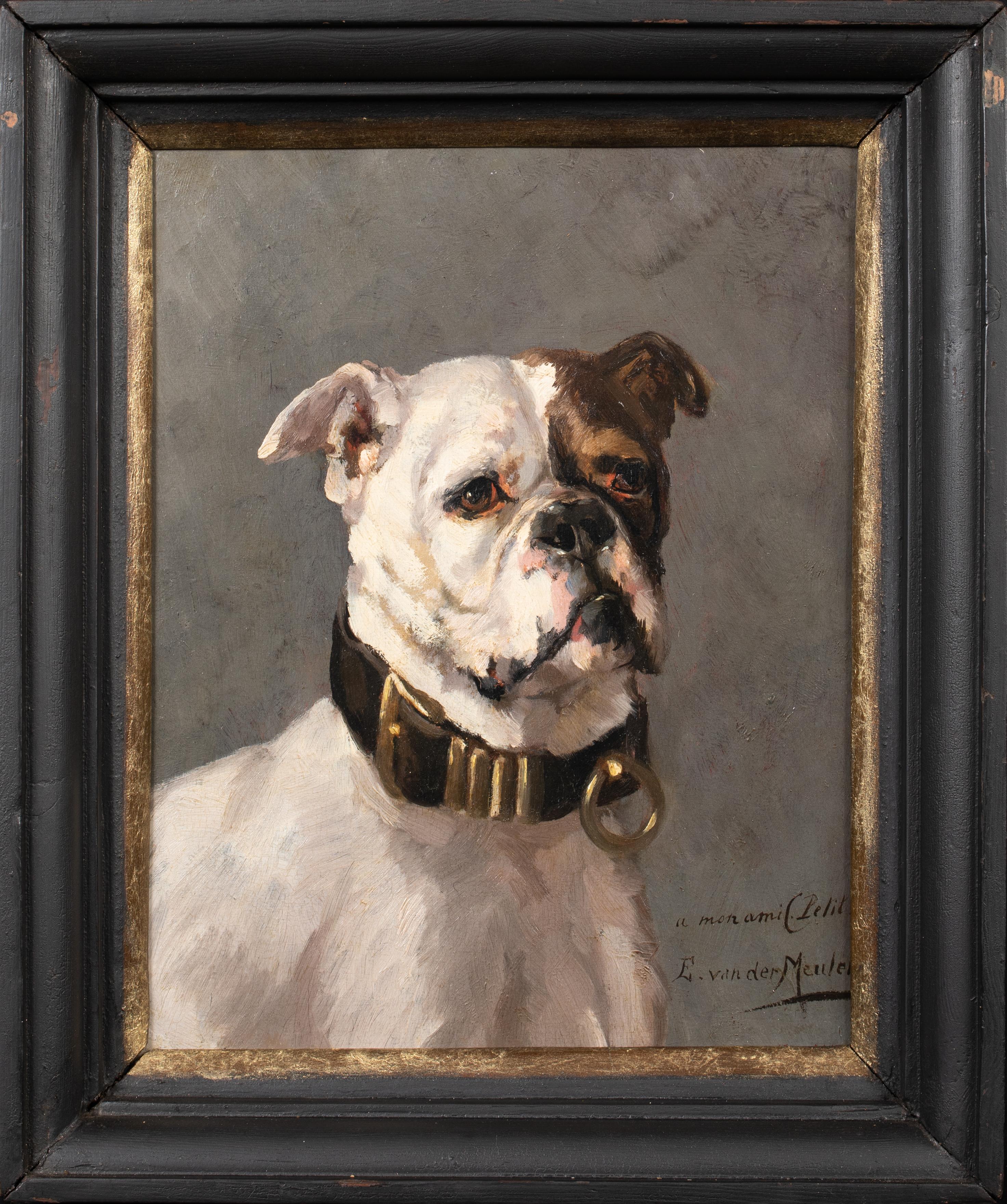 Portrait of An American Bulldog, 19th Century

by Edmond Van Der Meulen (1841-1905) - one of a pair

19th Century Portrait of an American Bulldog, oil on panel by Edmond Van Der Meulen. Early important and beautifully painted head profile of an