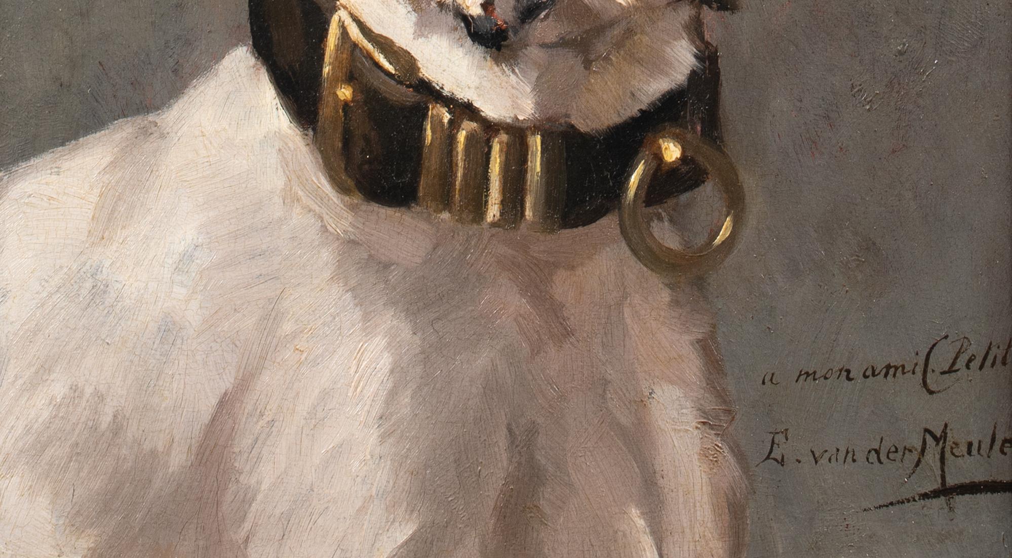 Portrait of An American Bulldog, 19th Century  by Edmond Van Der Meulen ( 3