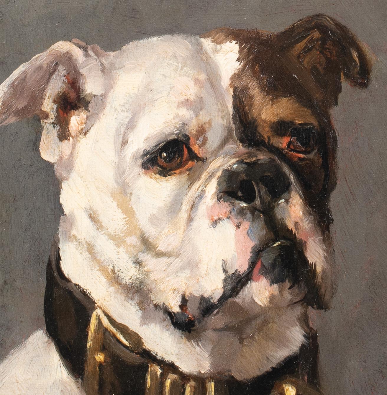 Portrait of An American Bulldog, 19th Century  by Edmond Van Der Meulen ( 6