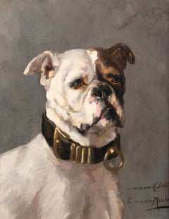 Portrait of An American Bulldog, 19th Century  by Edmond Van Der Meulen (