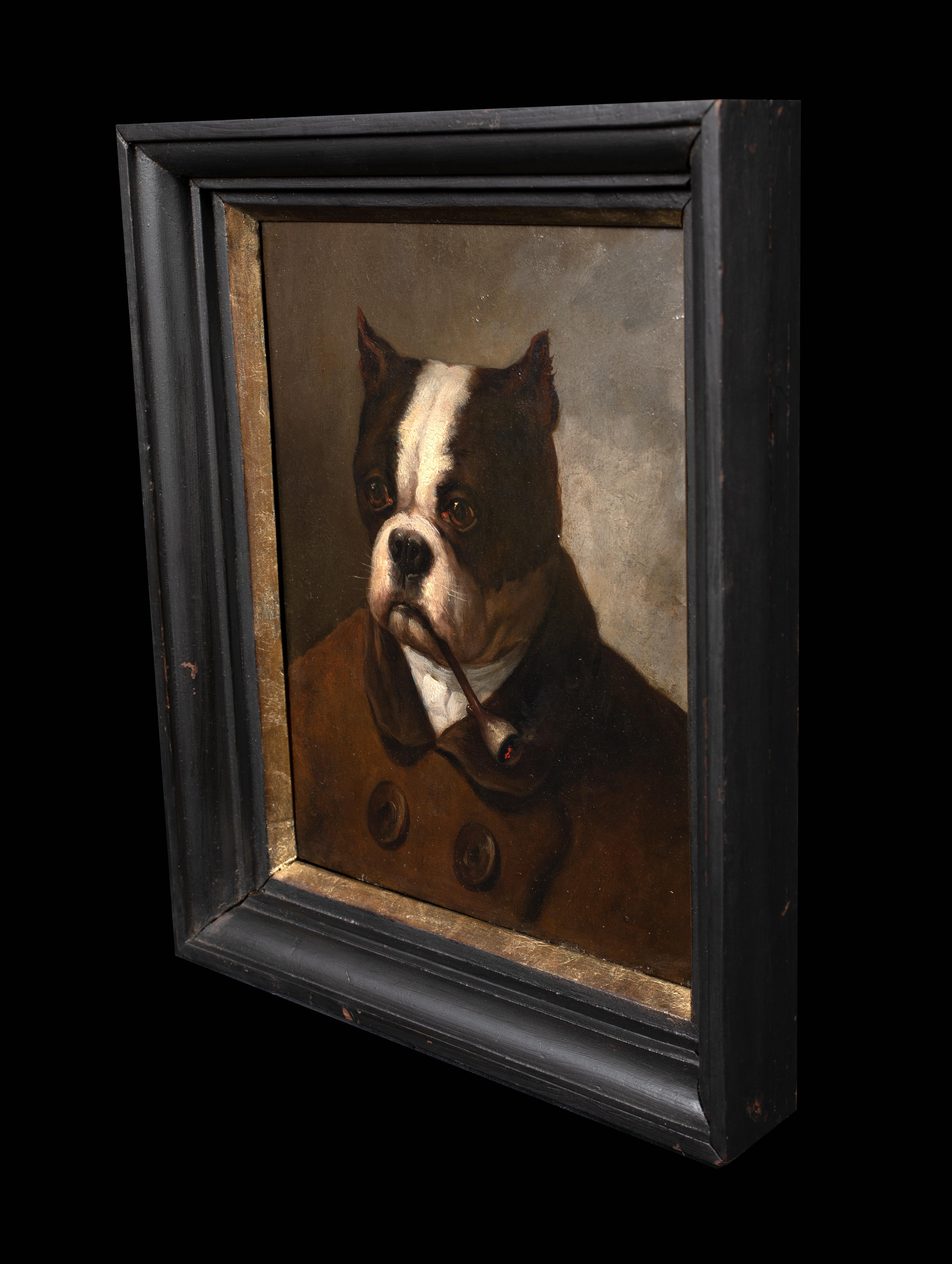 Portrait of An American Bulldog Smoking A Pipe, 19th Century   4