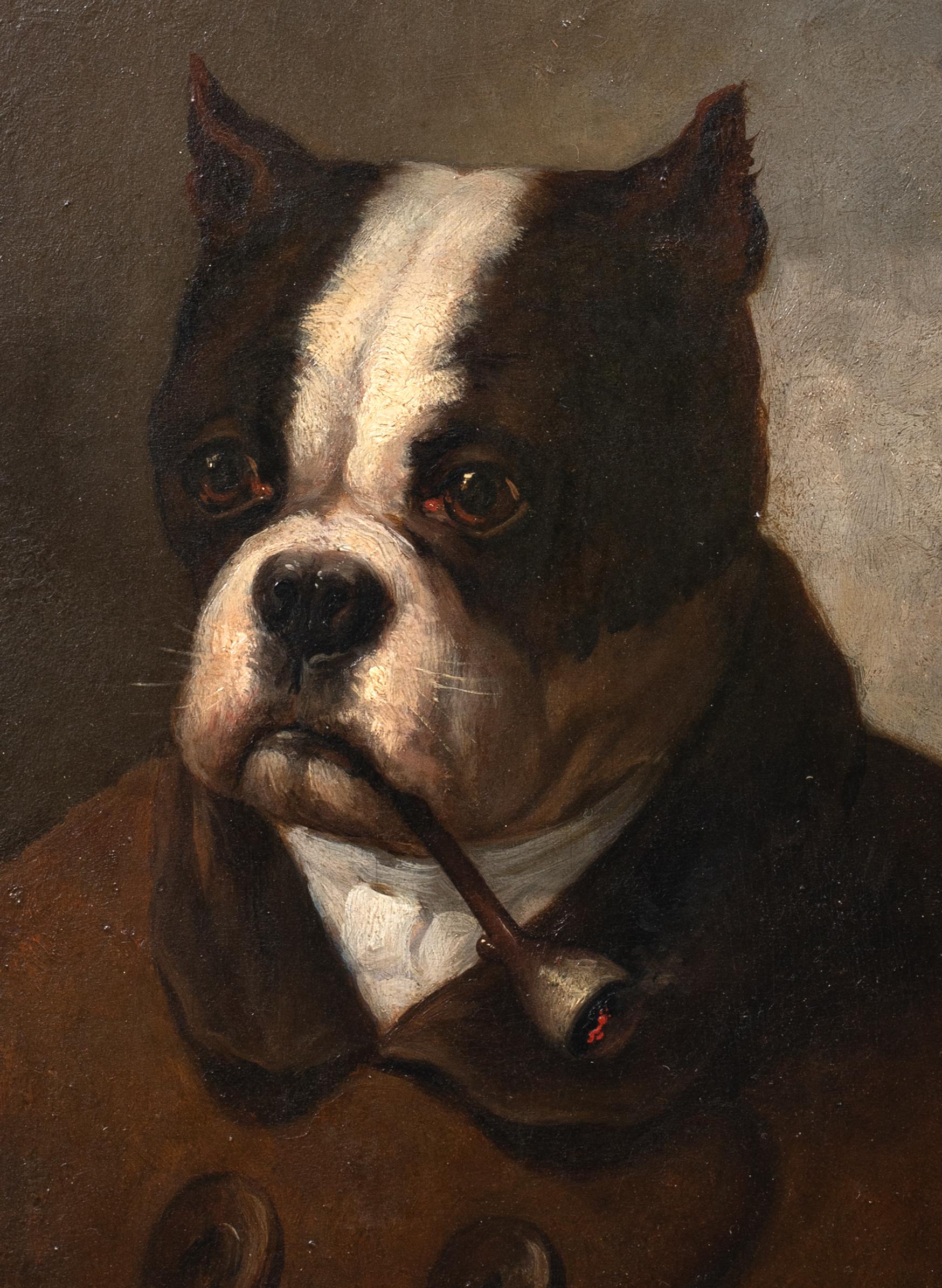 Portrait of An American Bulldog Smoking A Pipe, 19th Century   1