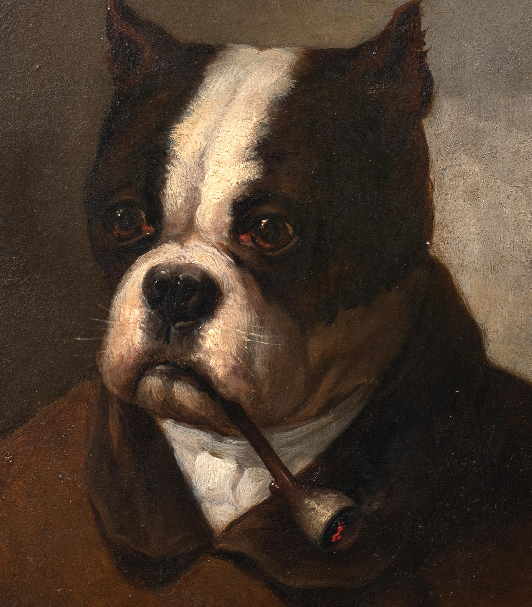 Portrait of An American Bulldog Smoking A Pipe, 19th Century   2