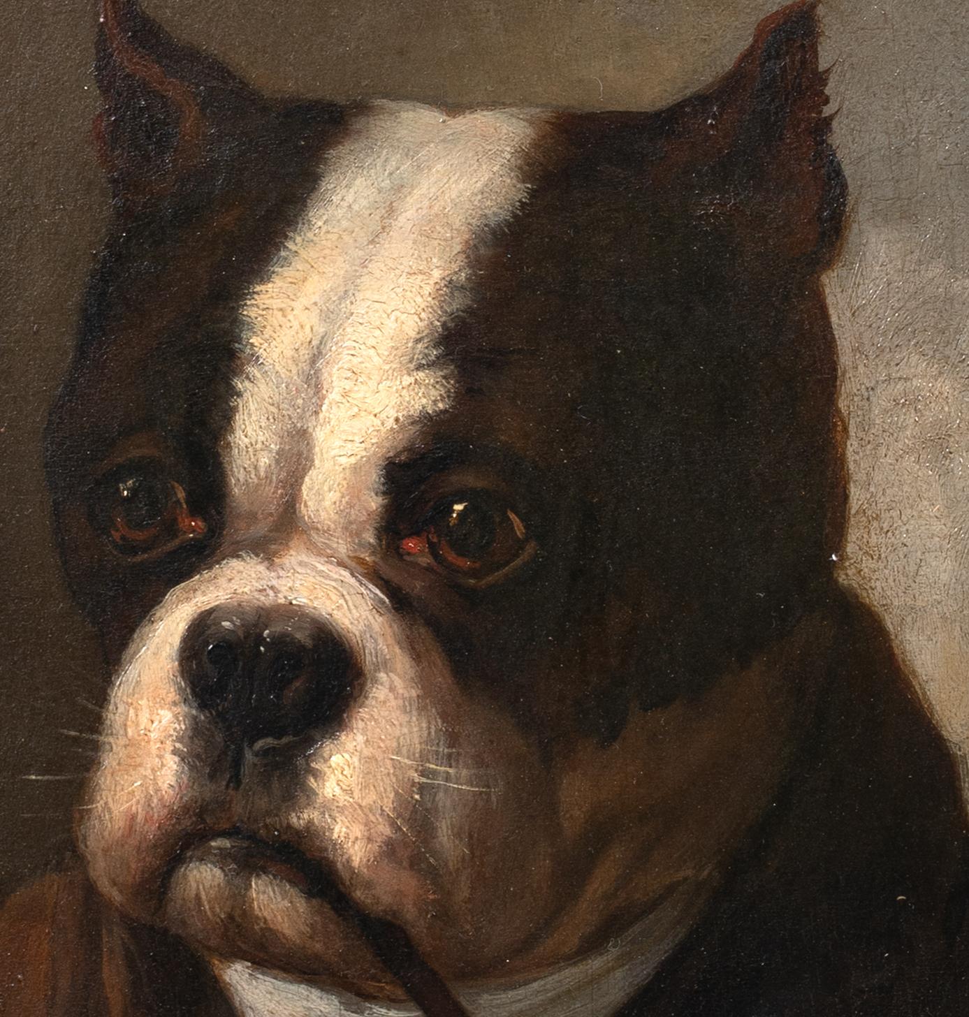 Portrait of An American Bulldog Smoking A Pipe, 19th Century   3