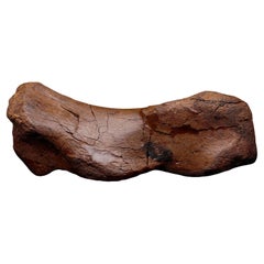 Antique Edmontosaurus Metatarsal // 5.31 Lb. // Late Cretaceous