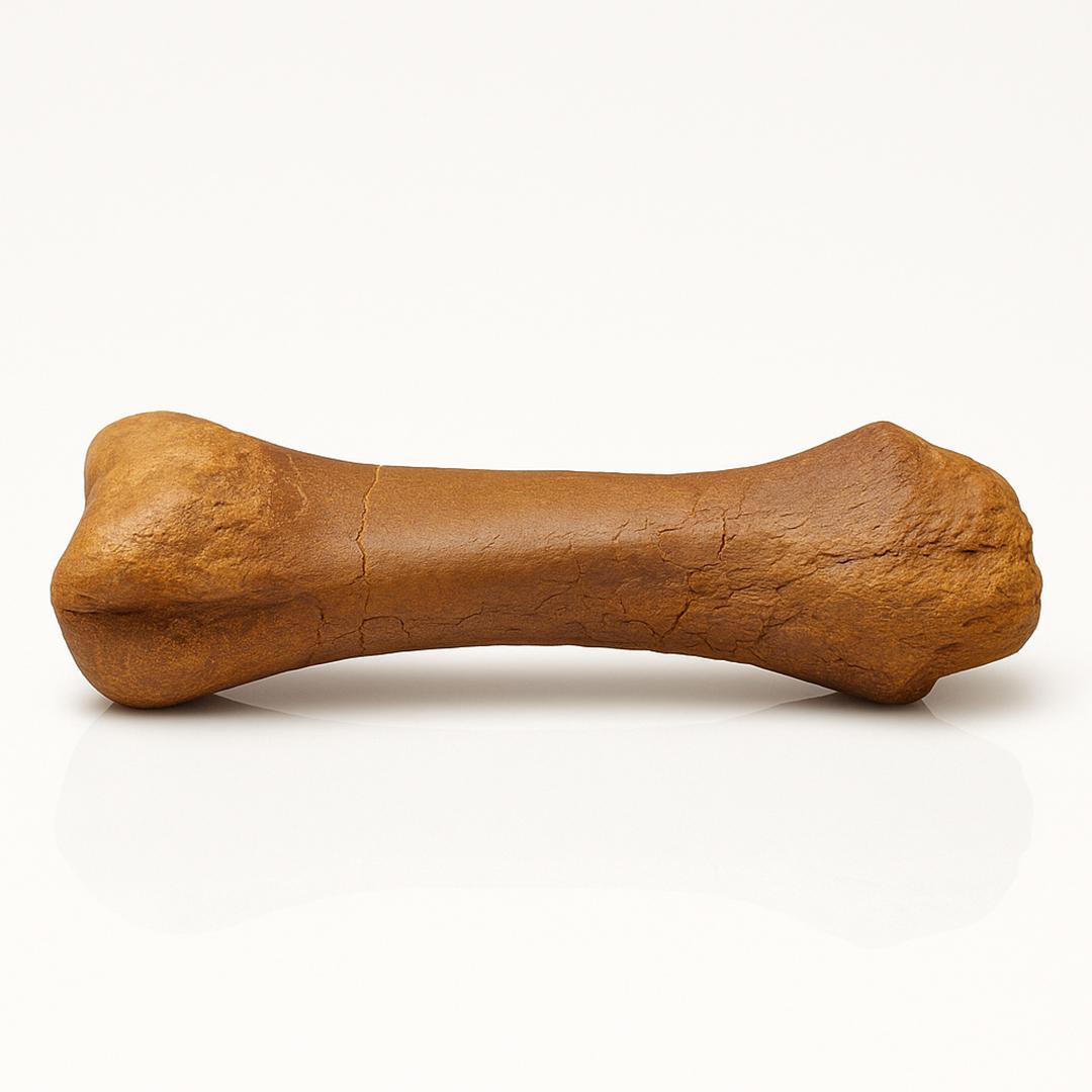 Edmontosaurus Metatarsal For Sale 1