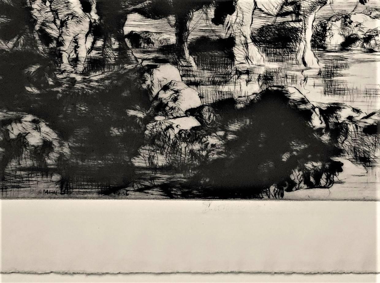 vraic seaweed