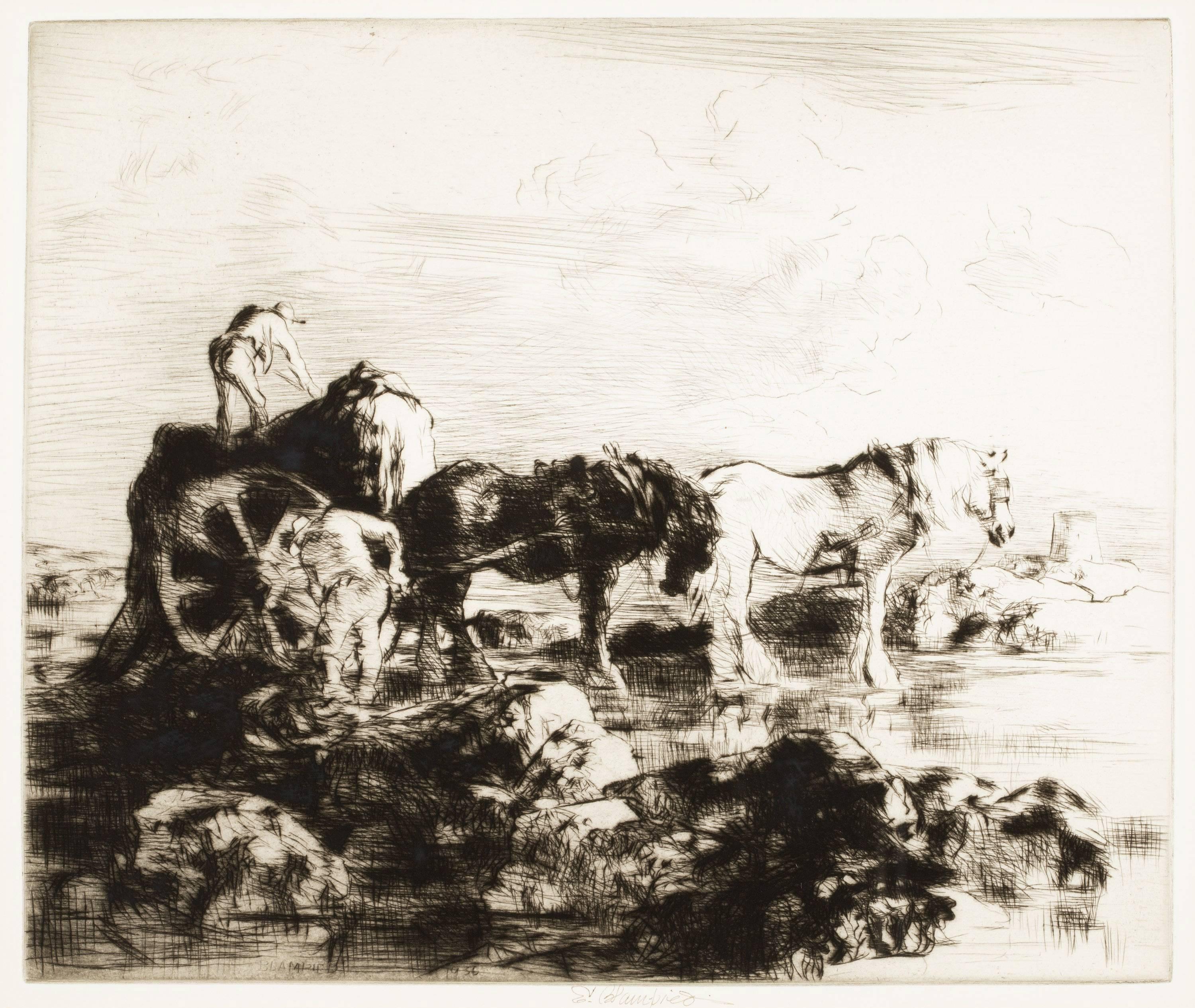 harvest town seaweed