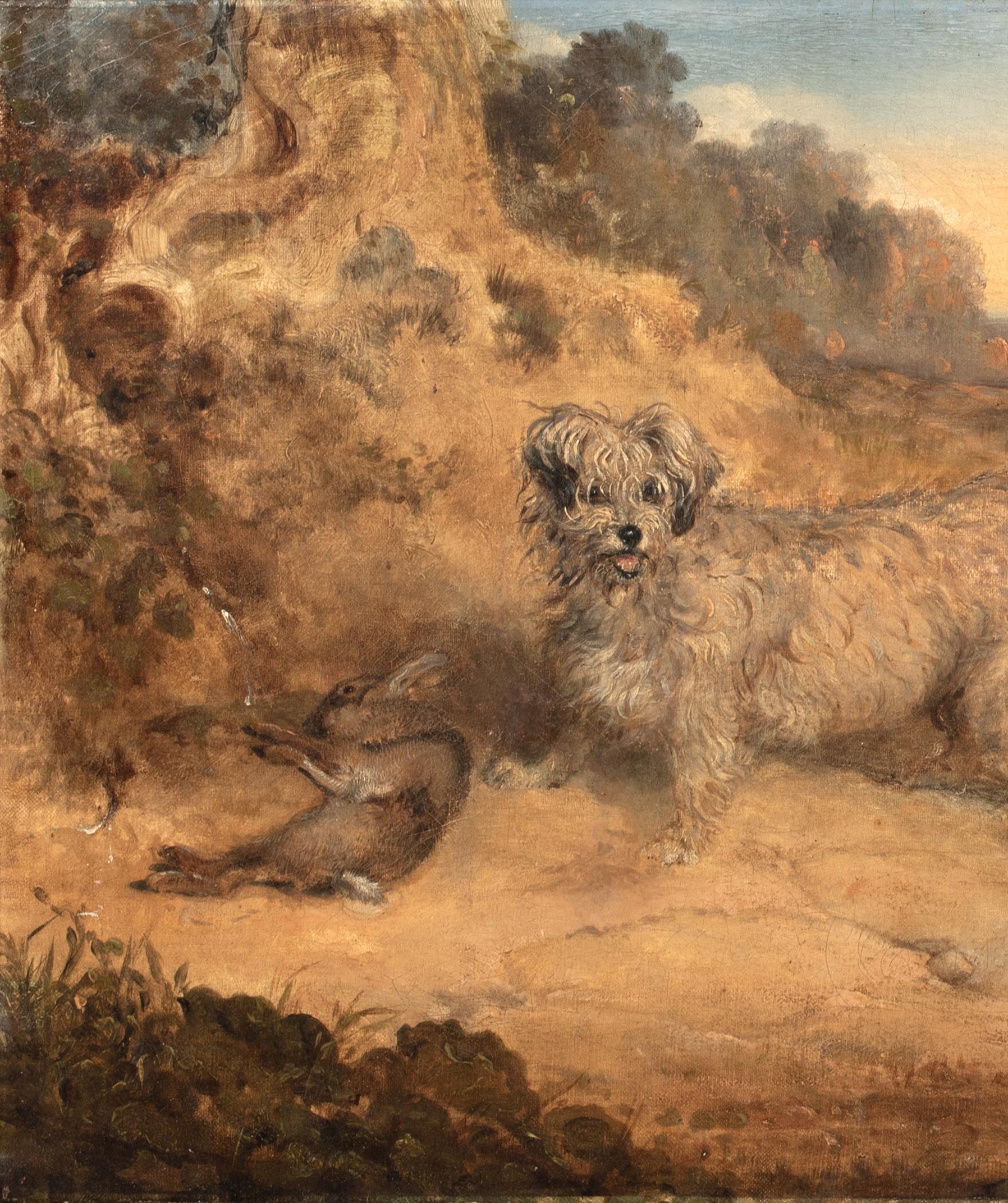 Portrait Of A Dandy Dinmont, 19th Century For Sale 6