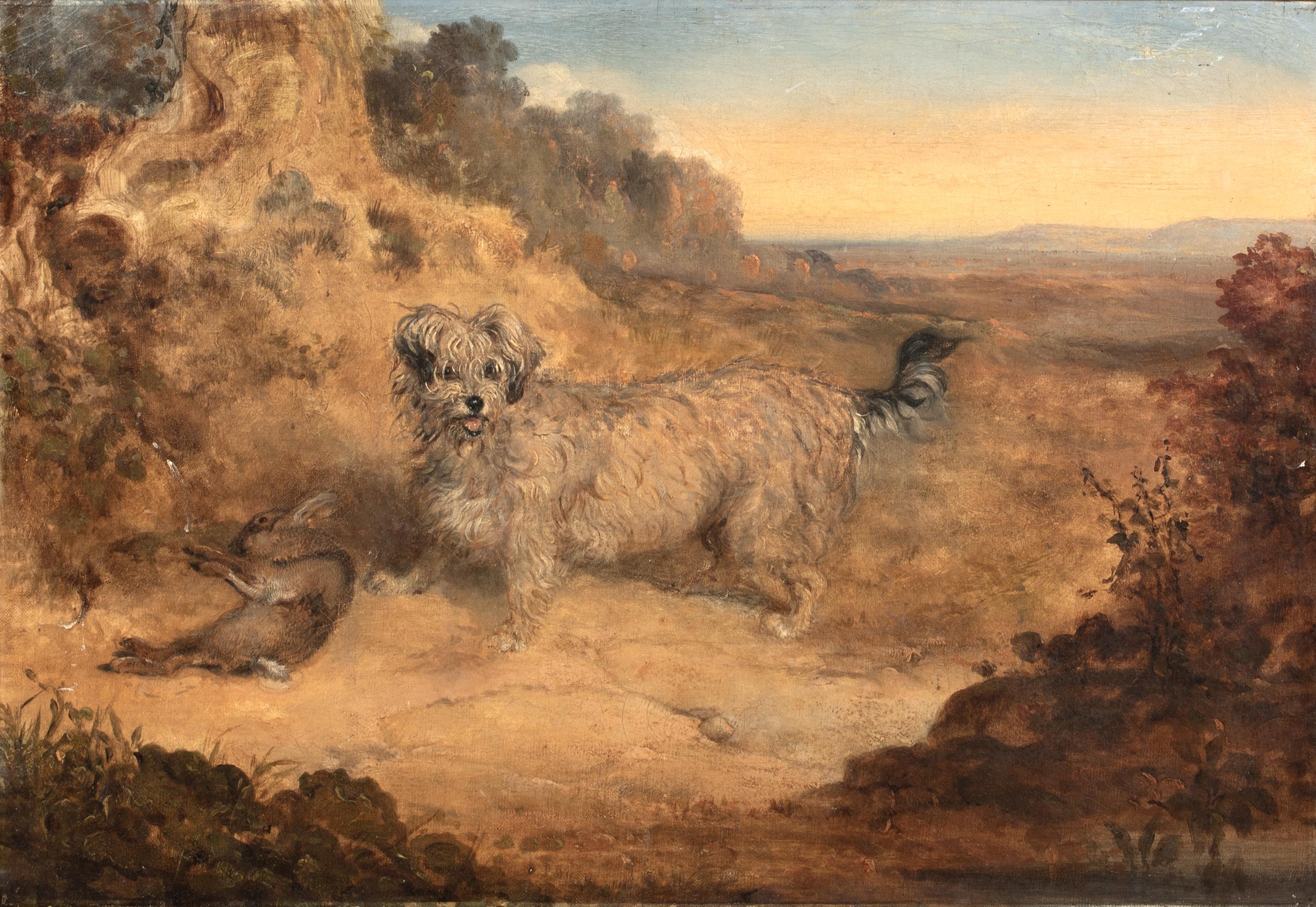 Portrait Of A Dandy Dinmont, 19th Century - Brown Animal Painting by Edmund Bristow