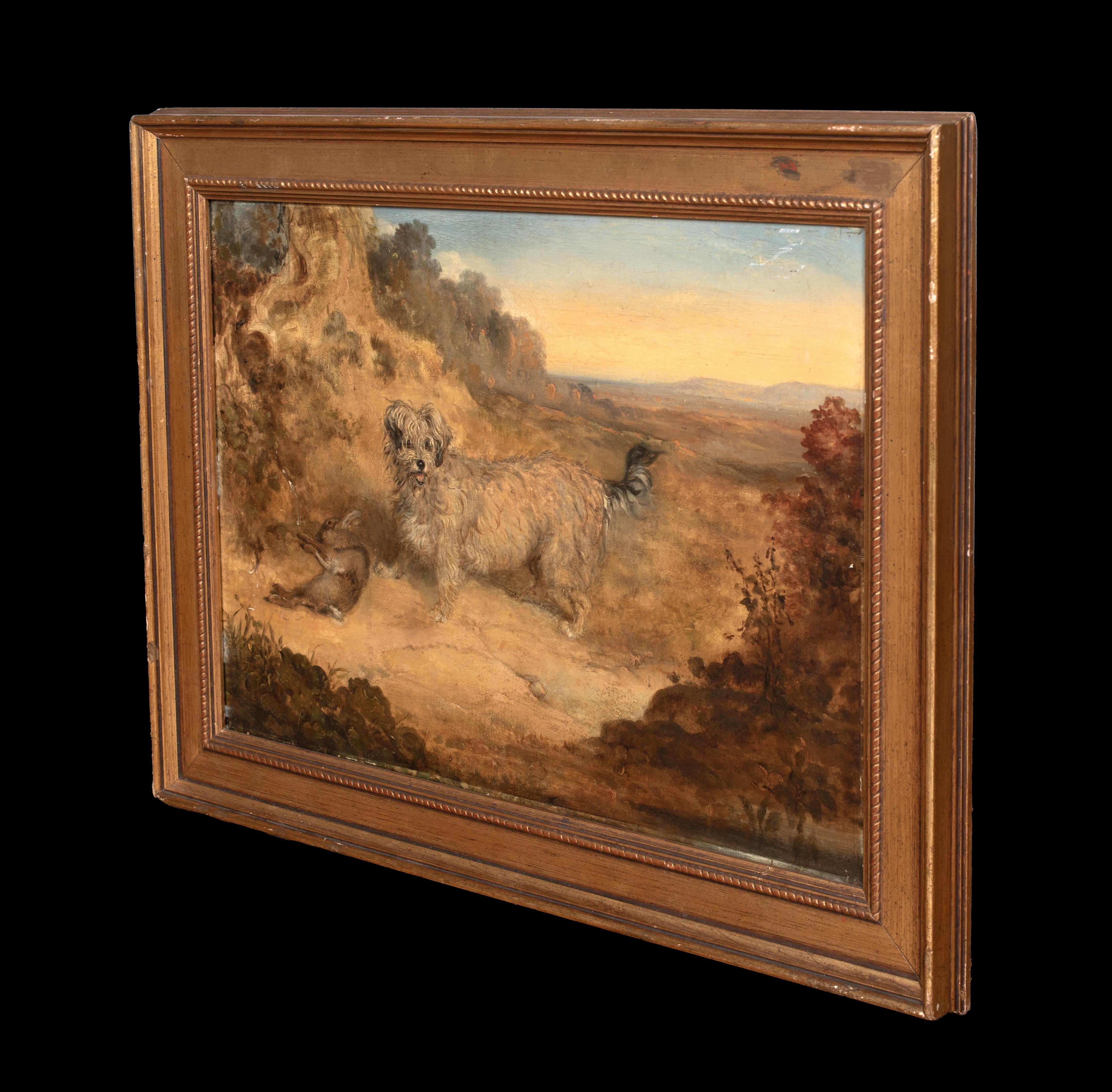 Portrait Of A Dandy Dinmont, 19th Century For Sale 4