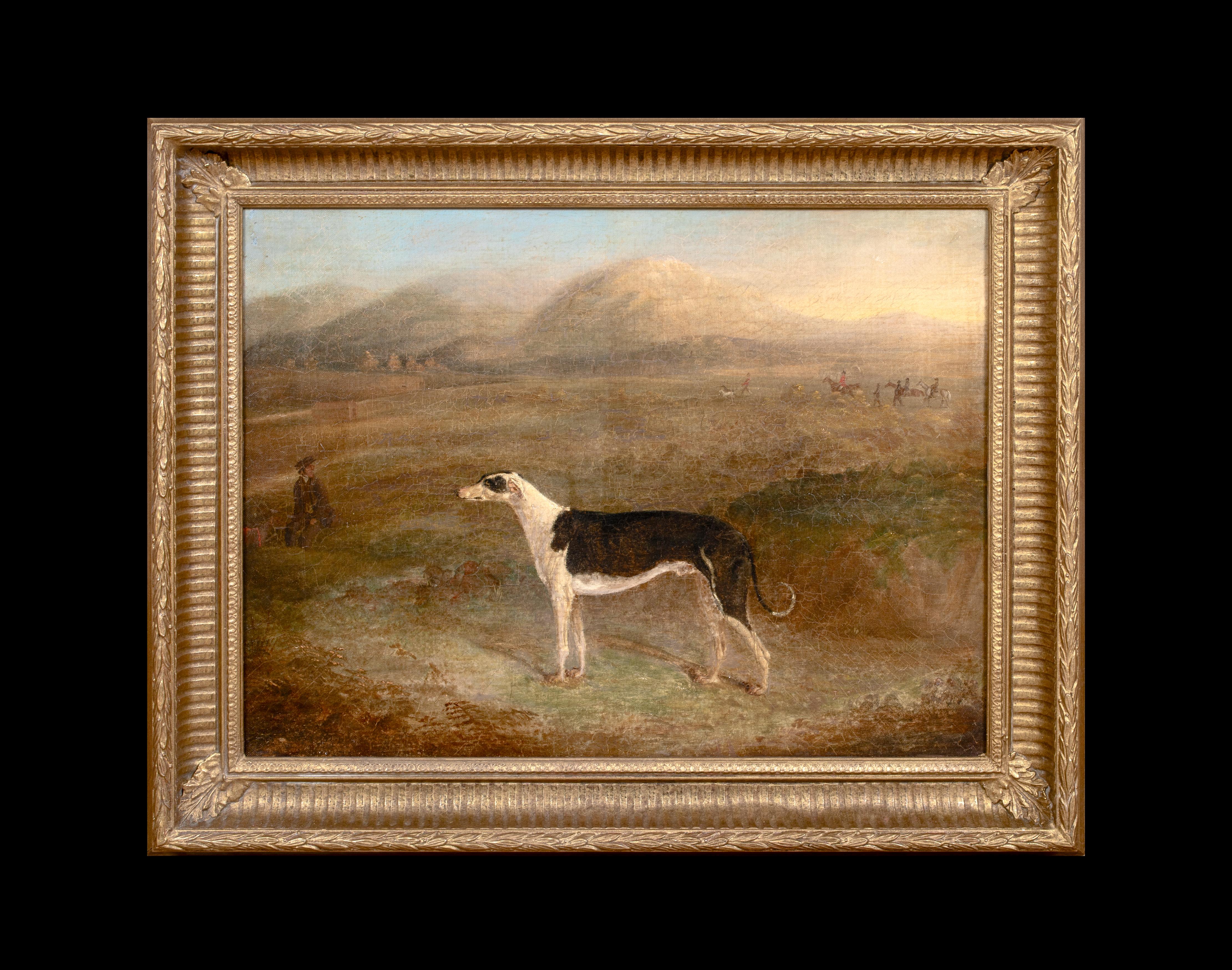 Porträt eines Windhundes, frühes 19. Jahrhundert – Painting von Edmund Bristow