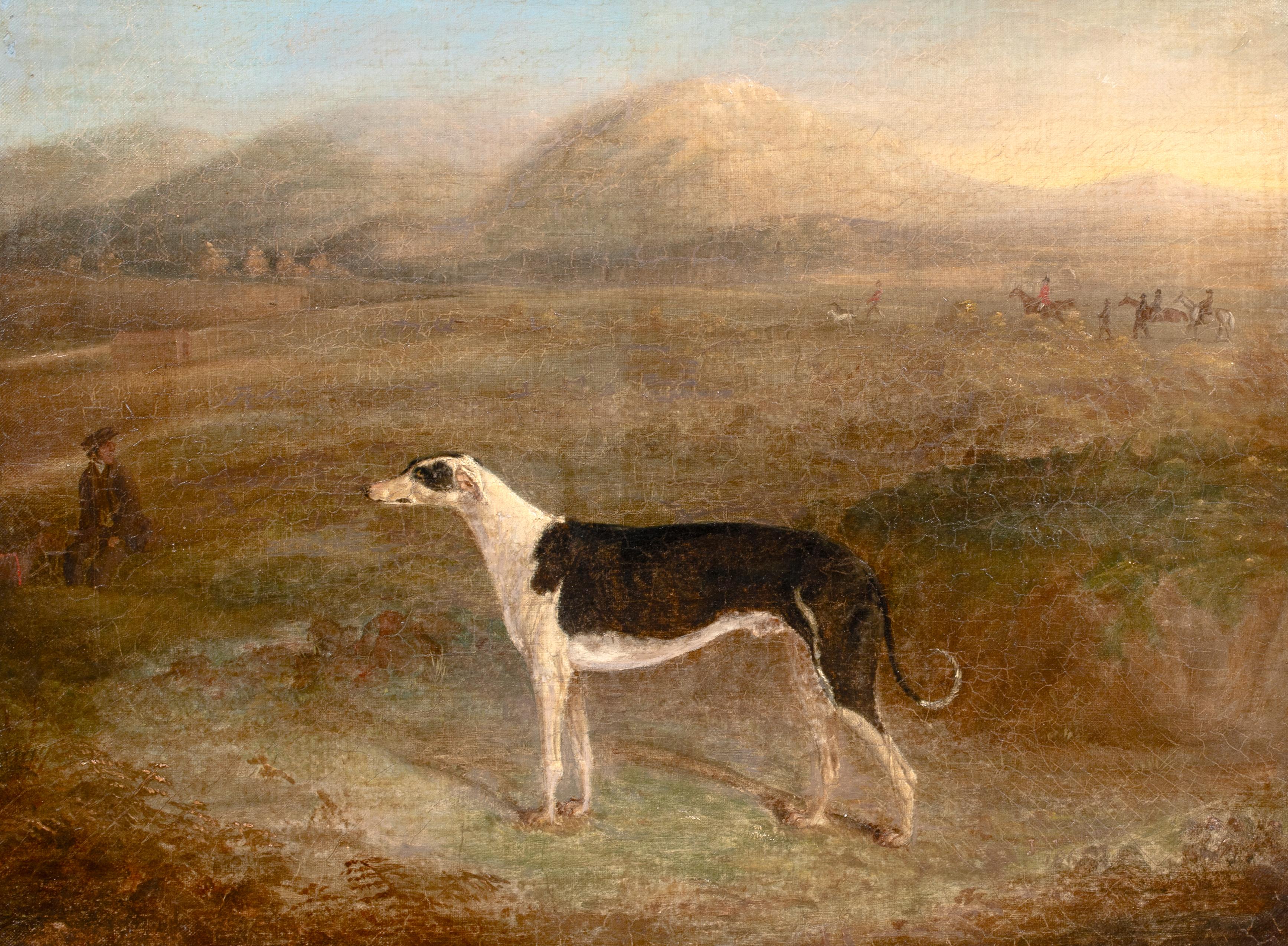 Porträt eines Windhundes, frühes 19. Jahrhundert (Braun), Animal Painting, von Edmund Bristow