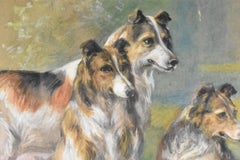 Edmund Osthaus Watercolor Collie Group