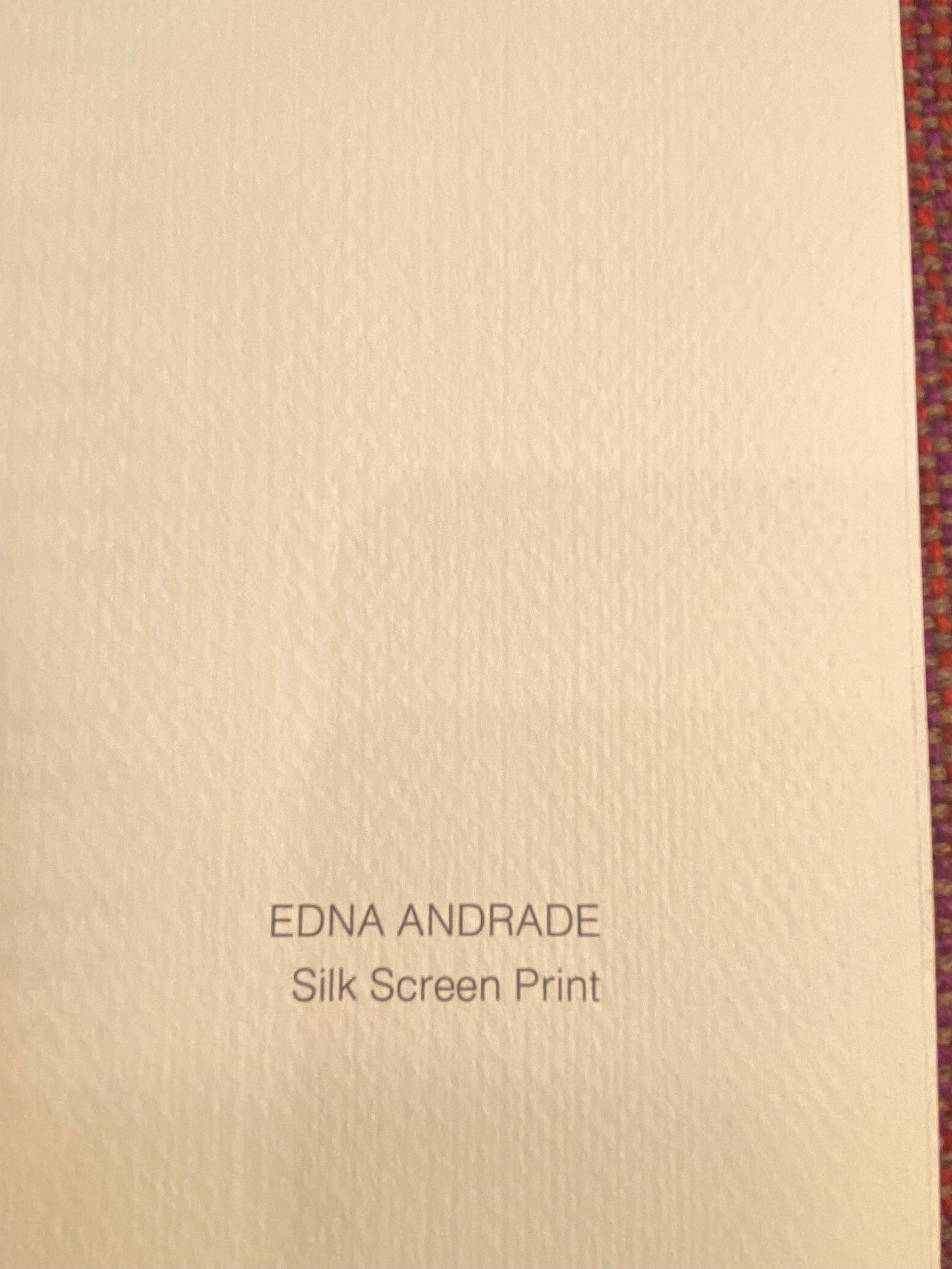 Edna Andrade Silk Screen Signed Print 95/120 For Sale 2