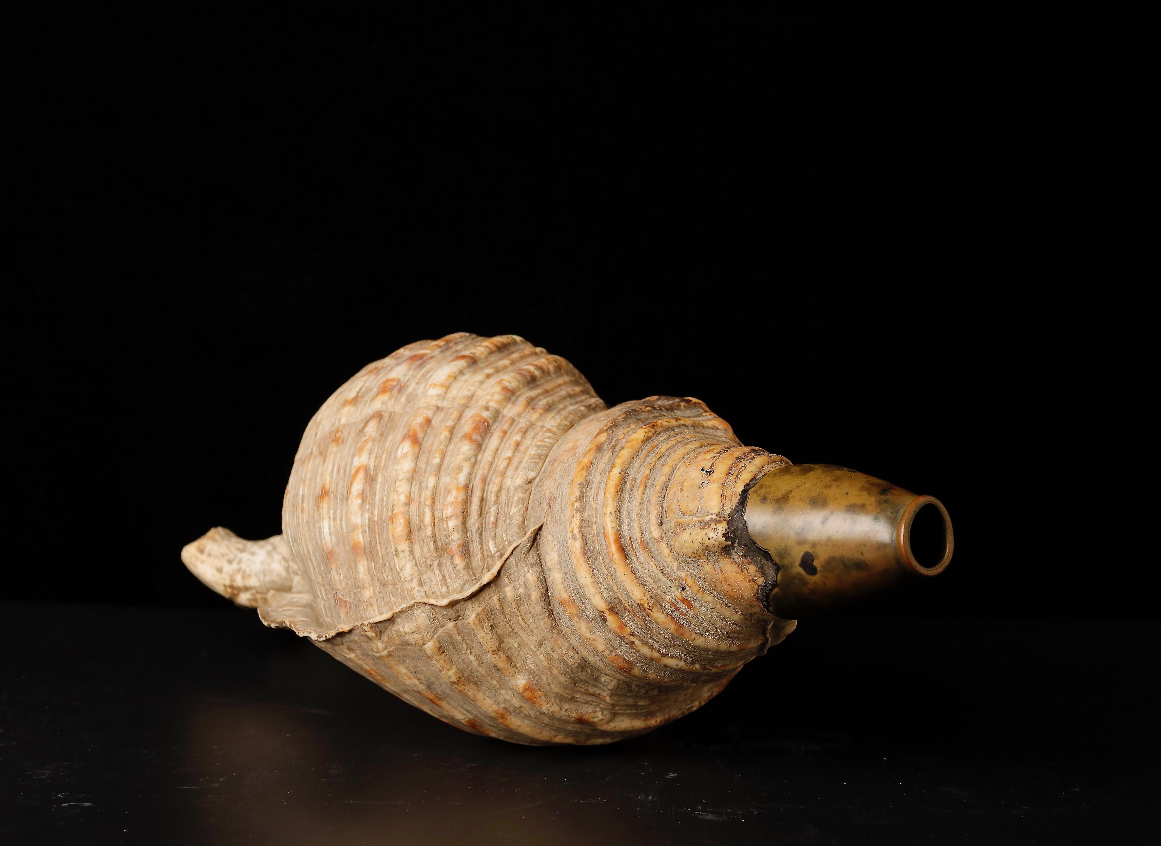 Edo Period Horagai Conch Shell Trumpet For Sale 3
