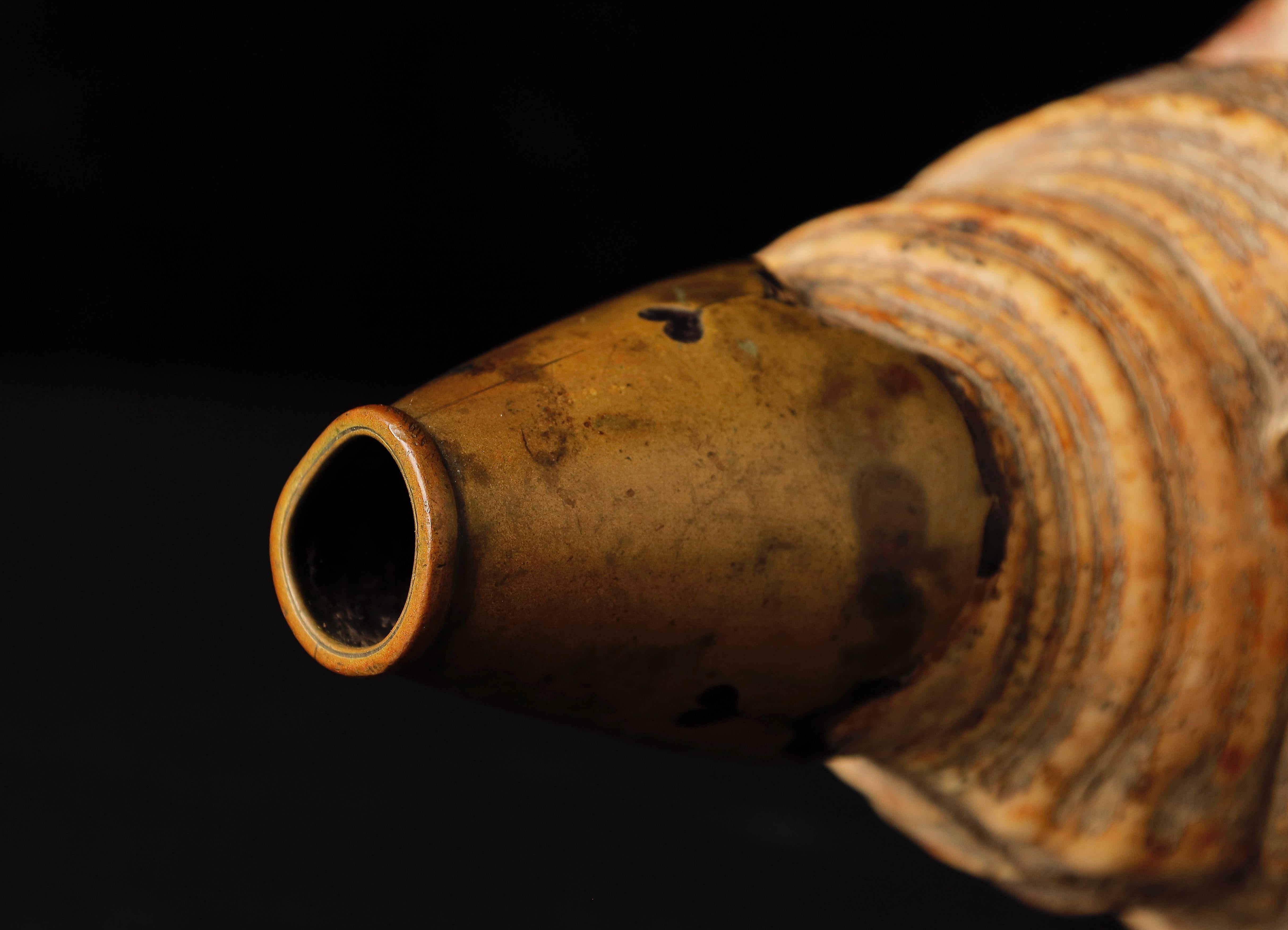 19th Century Edo Period Horagai Conch Shell Trumpet For Sale