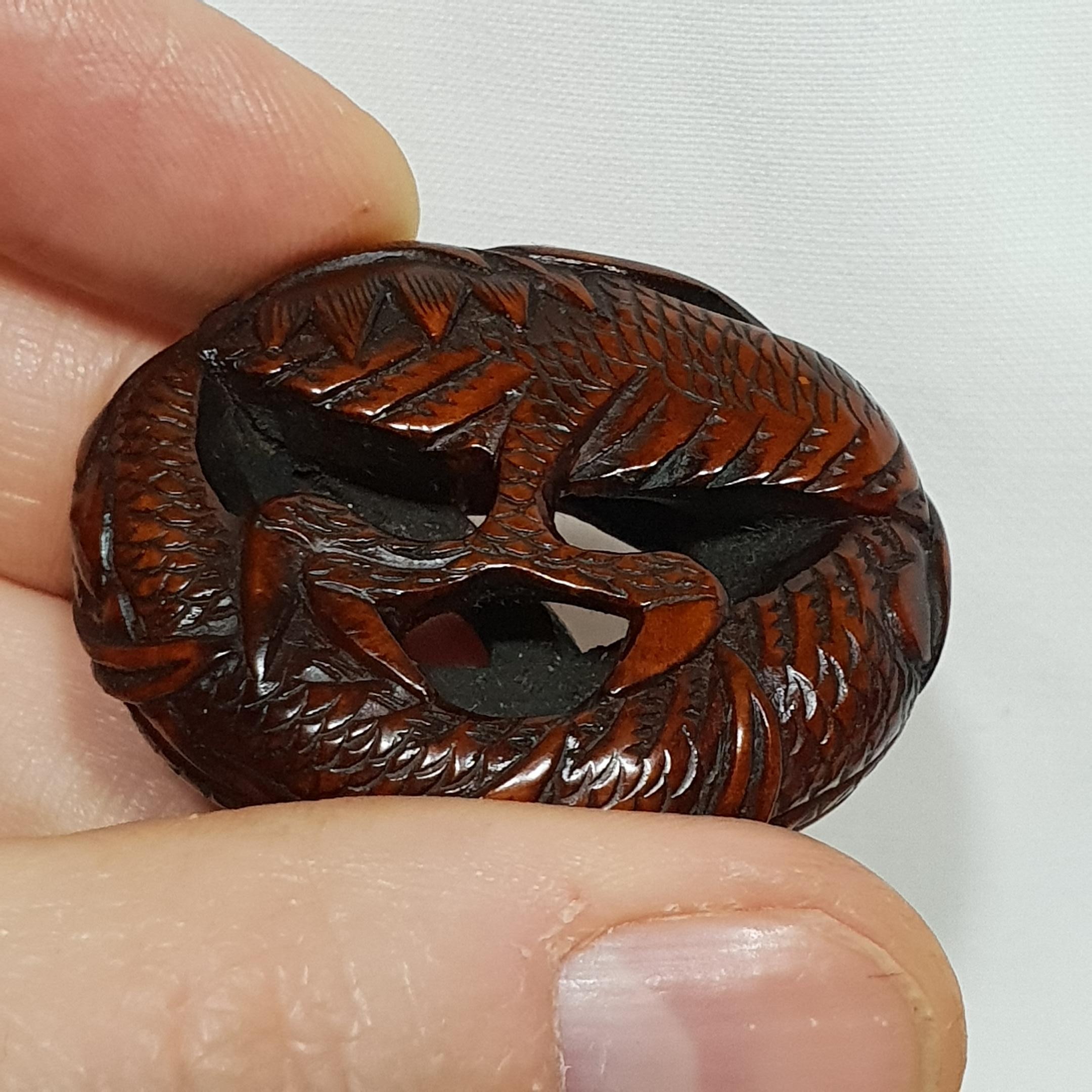 Edo Period Japanese Coiled Dragon Netsuke, 1820s 7