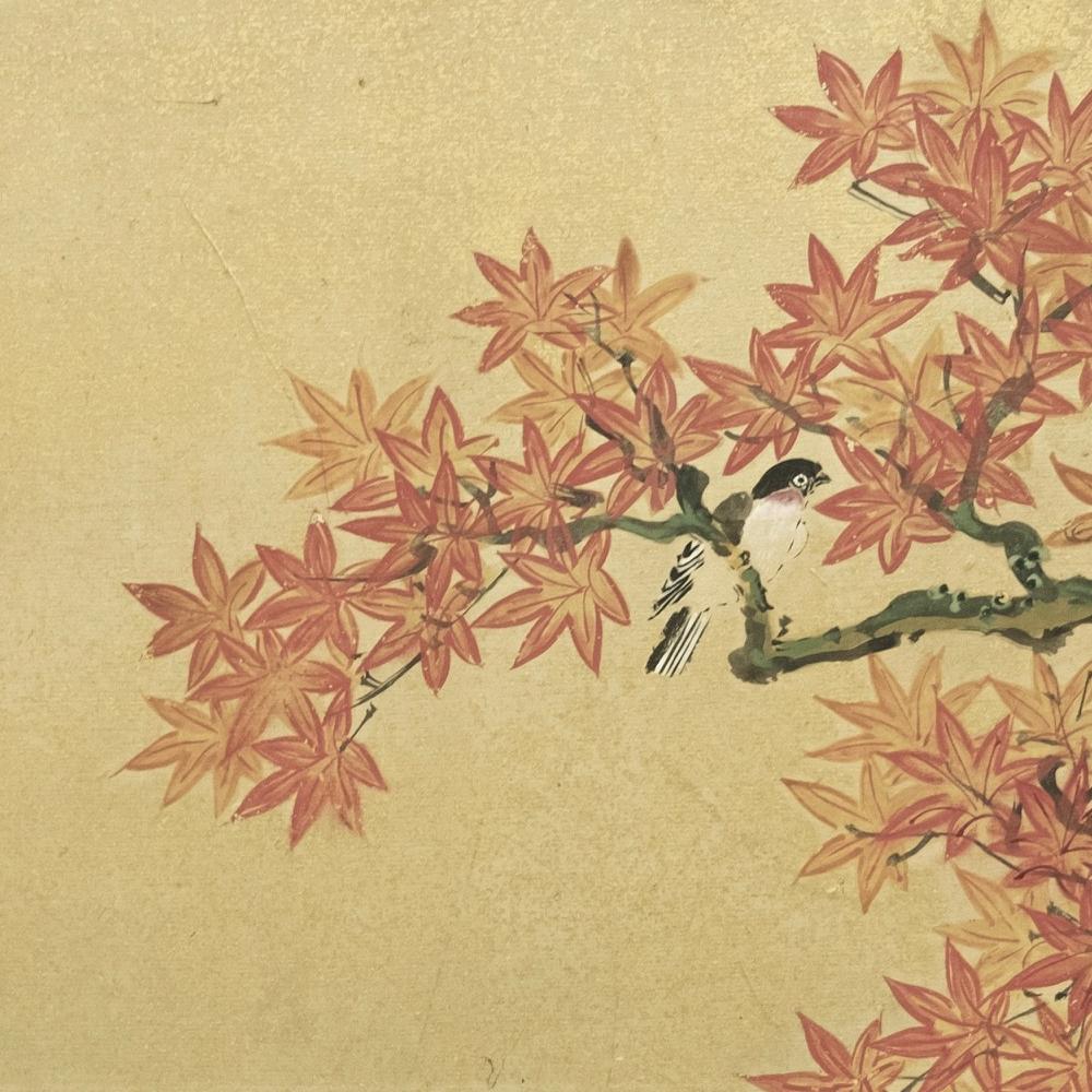 Edo Periode Nature Bildschirm von Kanō Tsunenobu (2/2) (18. Jahrhundert und früher) im Angebot