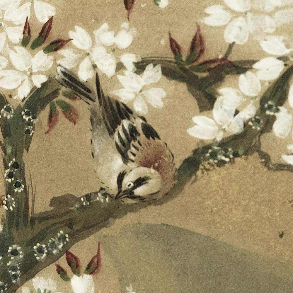 Edo Period Nature Screen by Kanō Tsunenobu For Sale 1