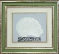 Shell - Oil Paint by Edolo Masci - 1990s