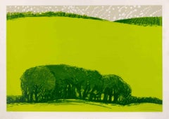 Campagne - Lithographie de Edolo Masci - années 1980