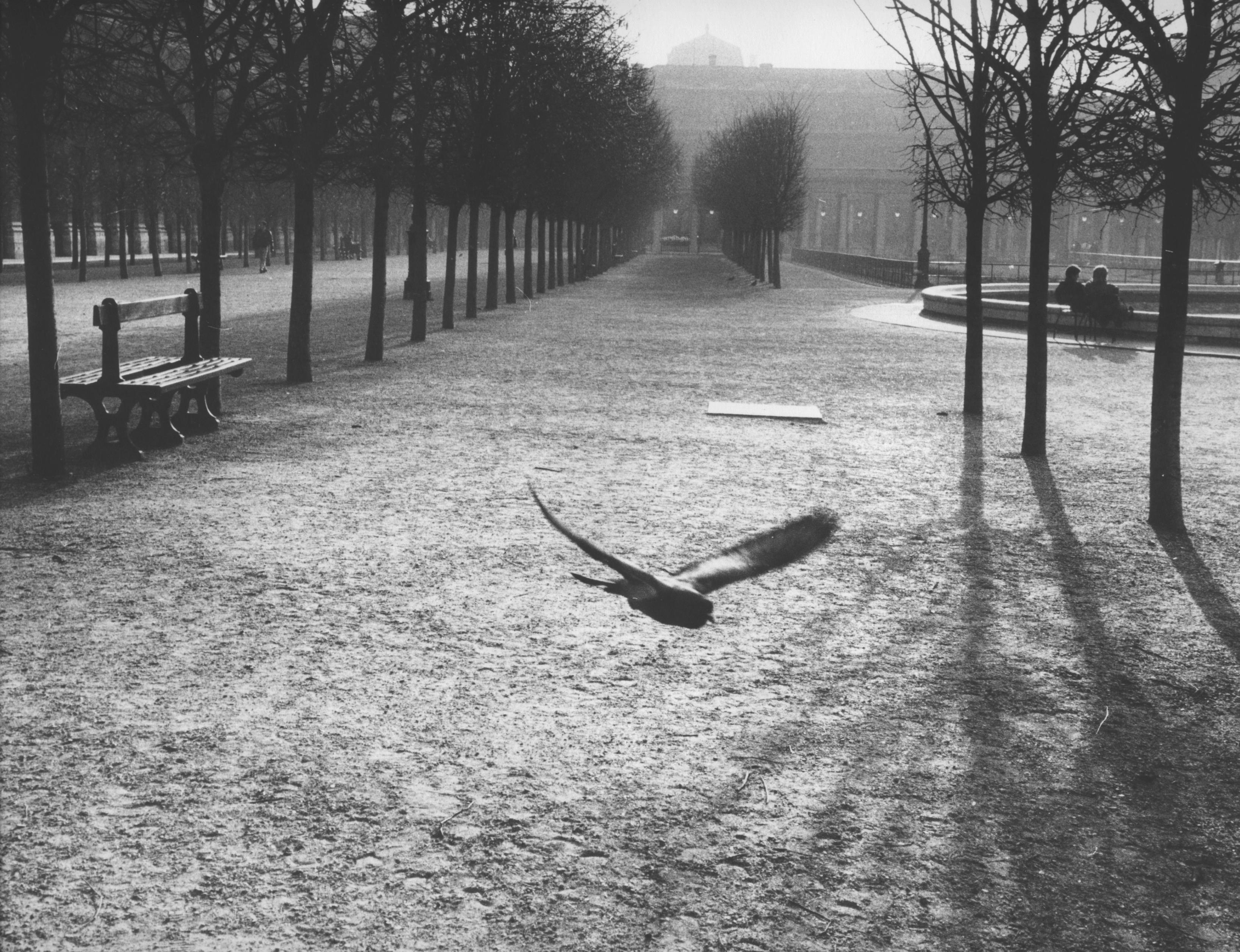 Edouard Boubat Black and White Photograph - Palais Royal, Paris, 1989