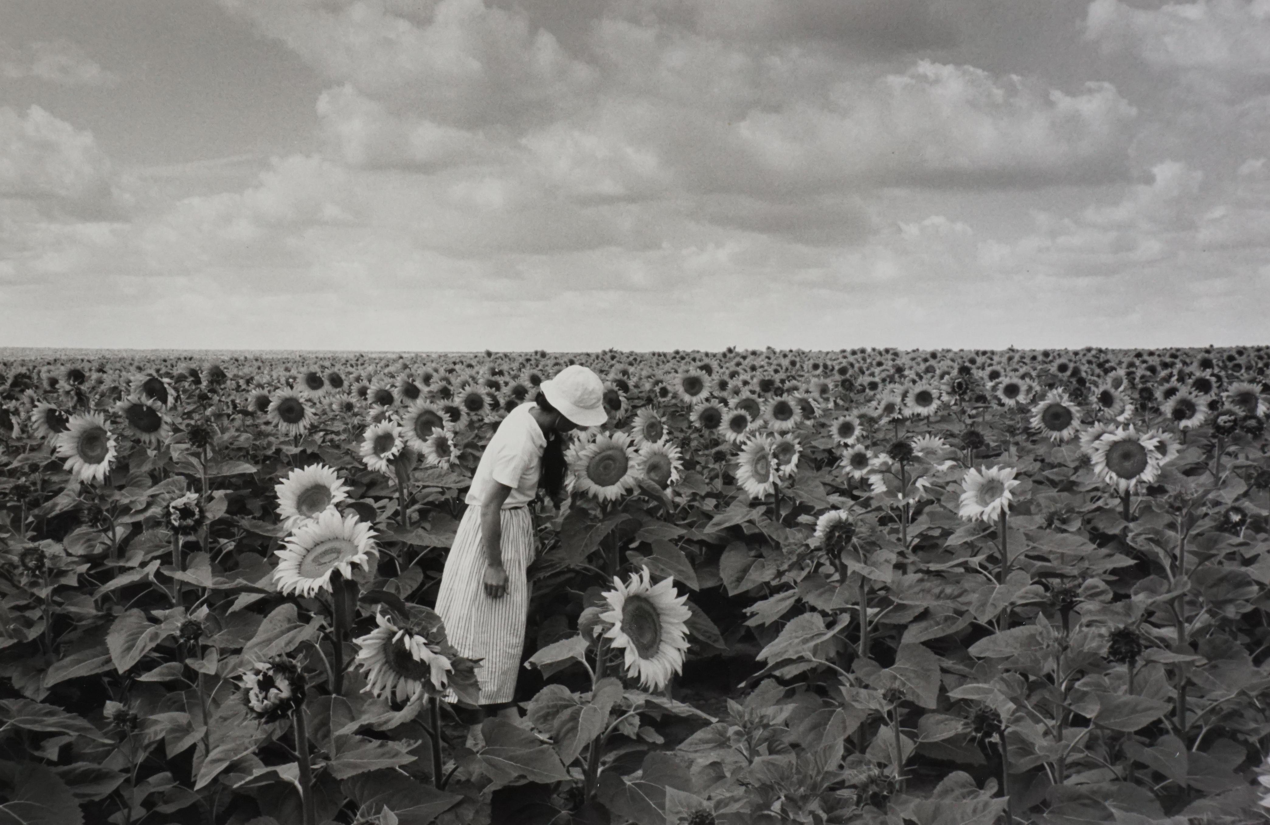 Edouard Boubat Black and White Photograph - Tournesols, France, 1987