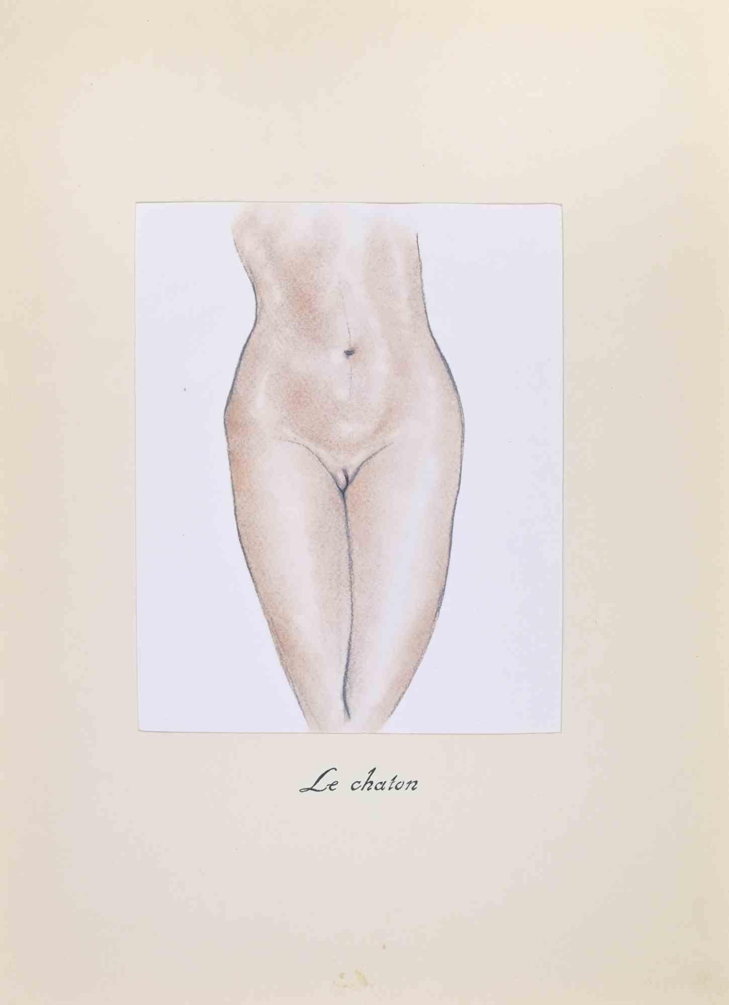 Lithograph realized by Edouard Chimot in 1932.

Belongs to the suite "Le Chat", in which the author classifies and represents pubic hairstyles that become progressively more surreal.

Very good condition.