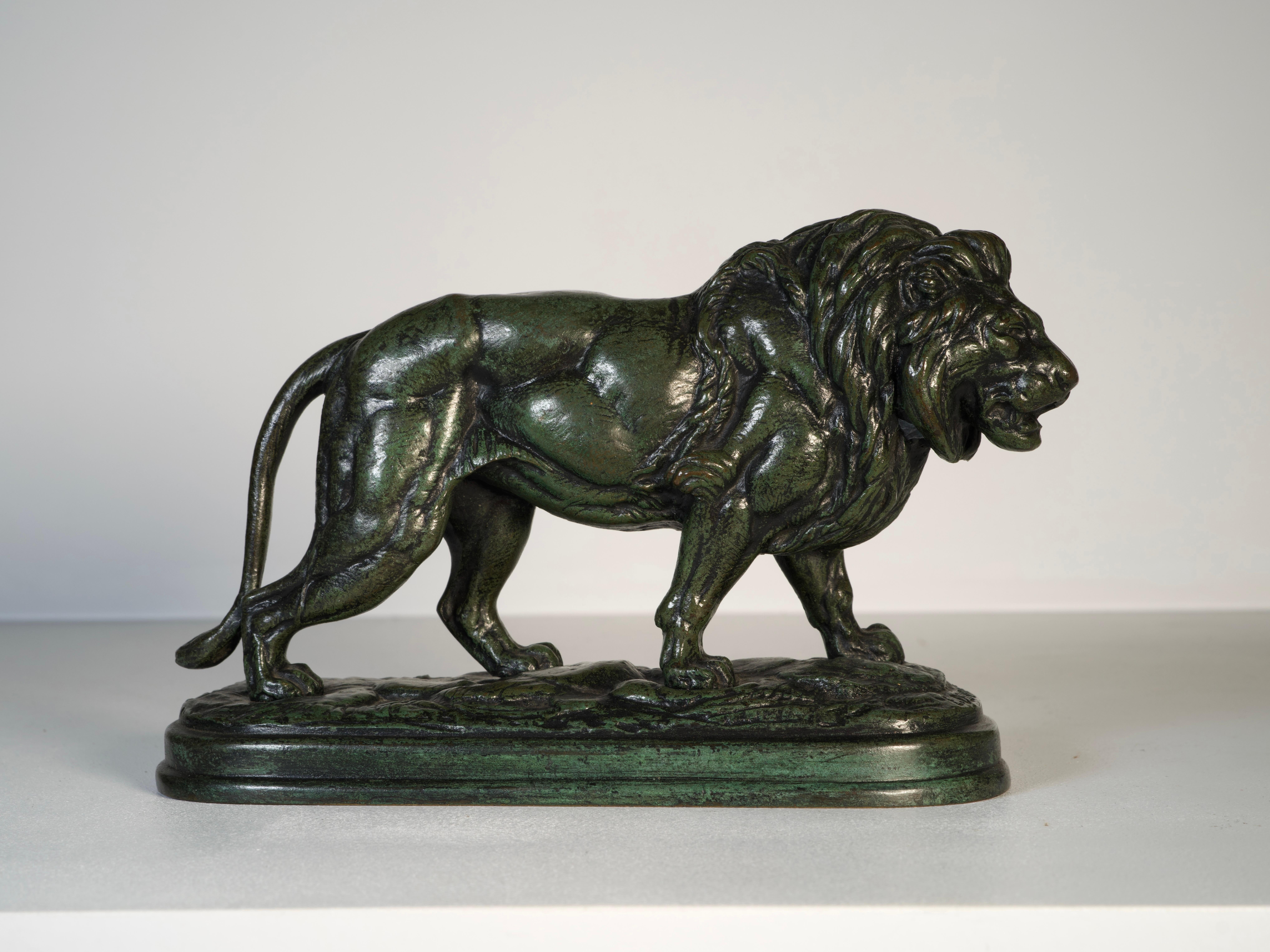 Lion marchant - Sculpture en bronze signée Edouard Delabrierre, 19e siècle