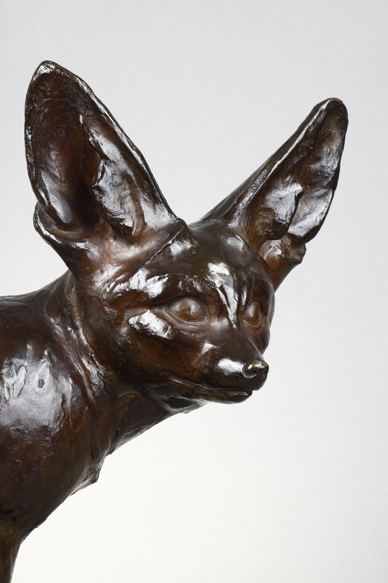 Fennec seated For Sale 8