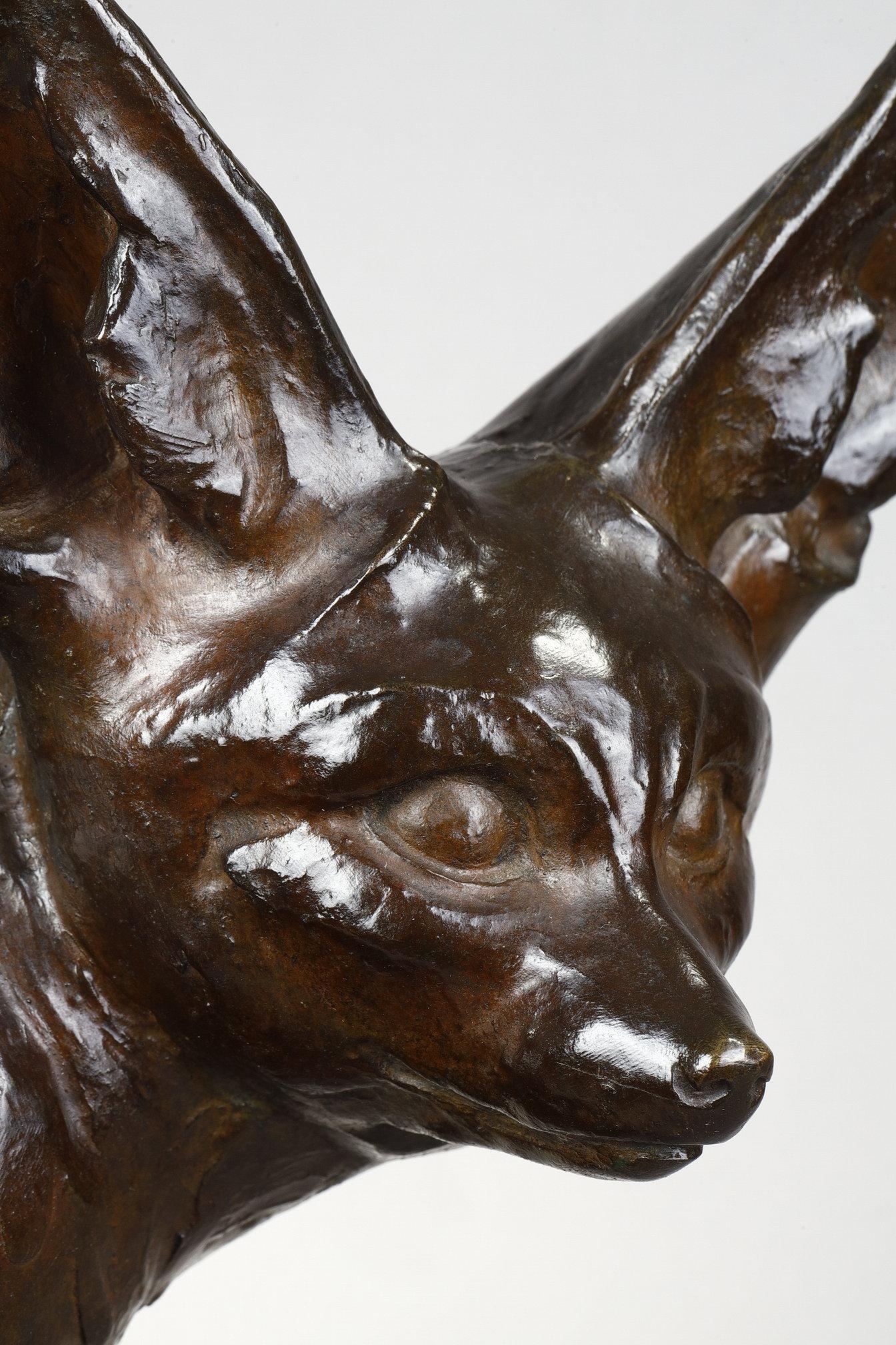 Fennec seated For Sale 9