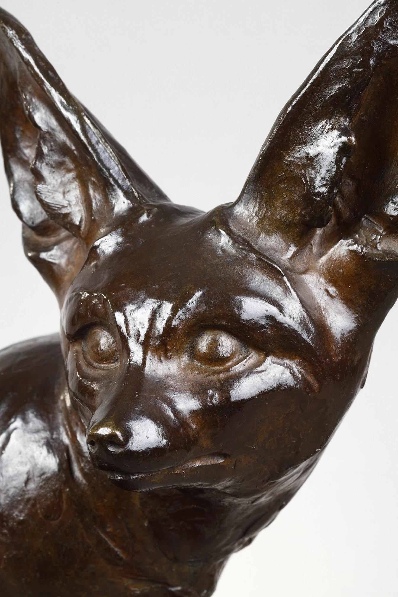 Fennec seated, head turned
by Edouard-Marcel SANDOZ (1881-1971)

Bronze with a nuanced dark brown patina
signed on the tail 