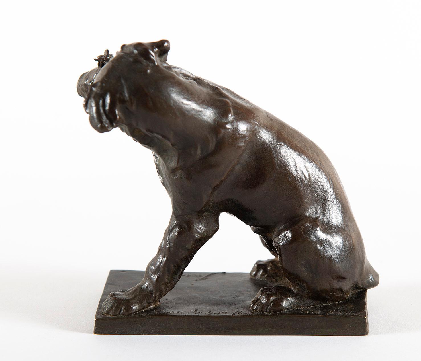 Chien à la sauterelle, by Sandoz, Animals, Sculpture, Bronze, 1910's, Dog

Chien à la sauterelle
Foundry : Susse Fondeur
circa 1918-1930
Bronze with brown patina and shade of green
13 x 13 x 9 cm
Signed and seal of the foundry on the base : Susse