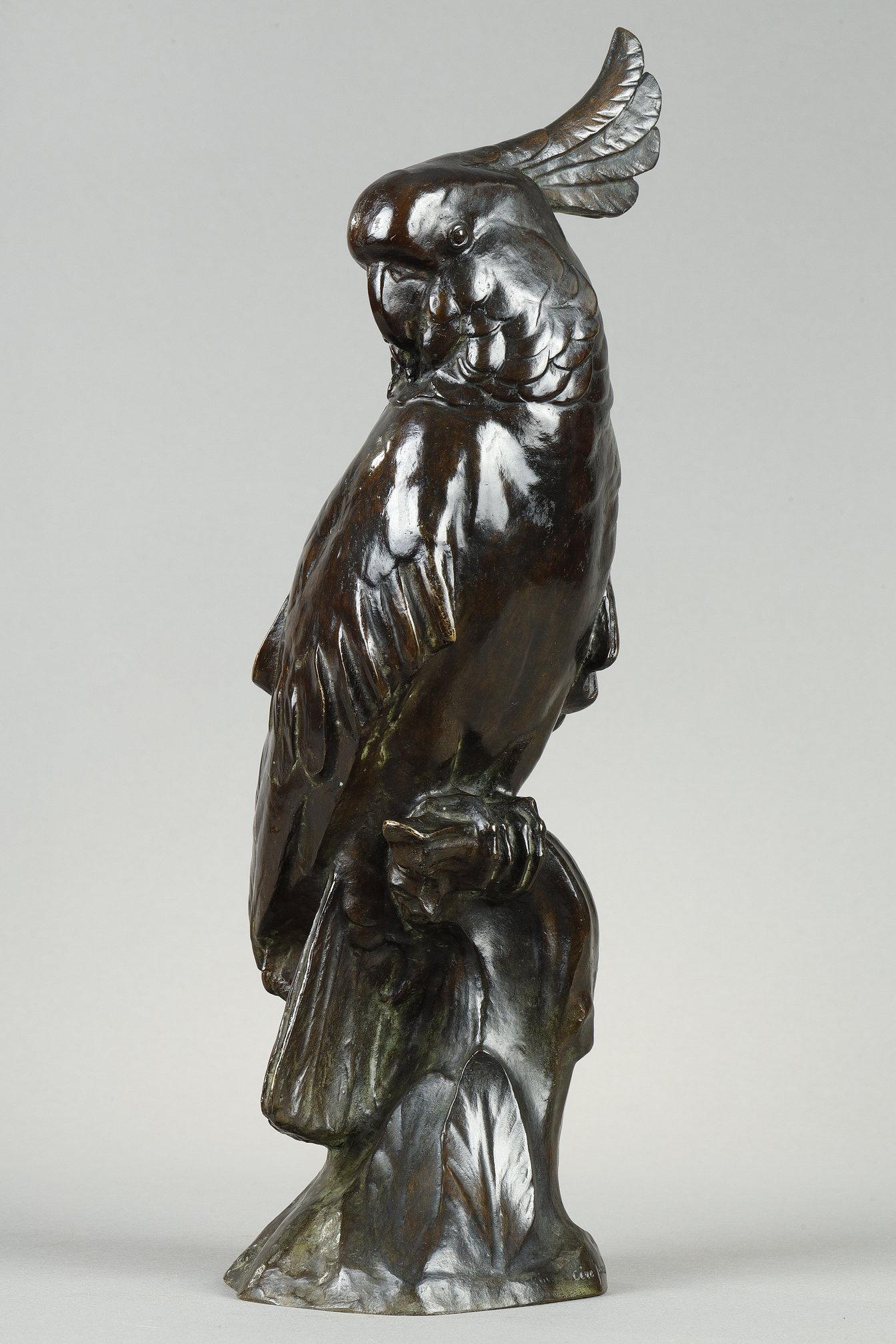 Cockatoo
Head turned to the right, with a raised and spread out crest
by Edouard-Marcel SANDOZ (1881-1971)

A bronze sculpture with a dark brown patina nuanced with green
Signed on the base 