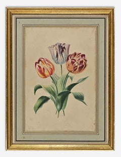 Antique Tulips - Etching By  Edouard Maubert - 19th Century