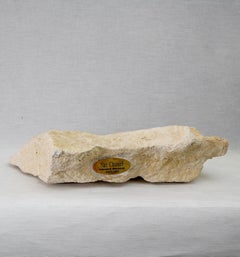 EDOUARD M - Bolso Fossil