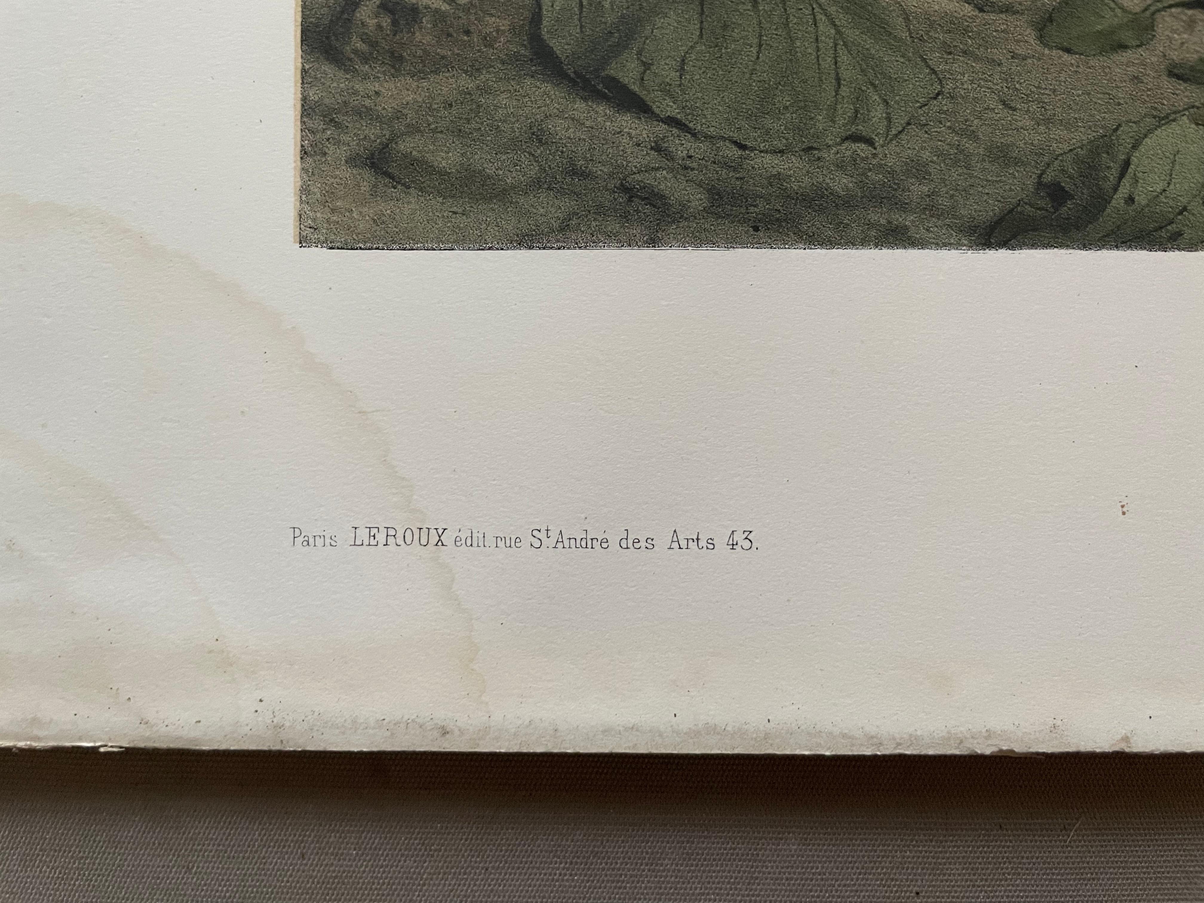 The Woodcock And The Grey Partridge, Two Lithographs By Edouard Traviès 6