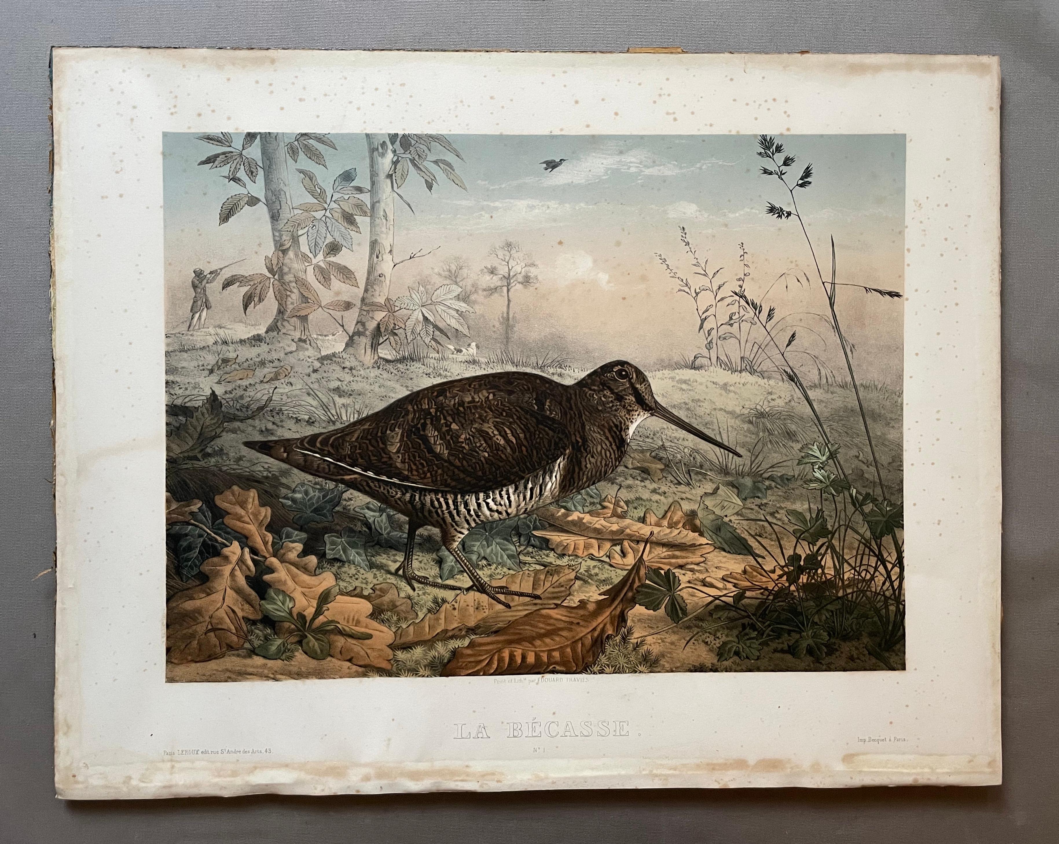 The Woodcock And The Grey Partridge, Two Lithographs By Edouard Traviès - Print by Édouard Traviès 