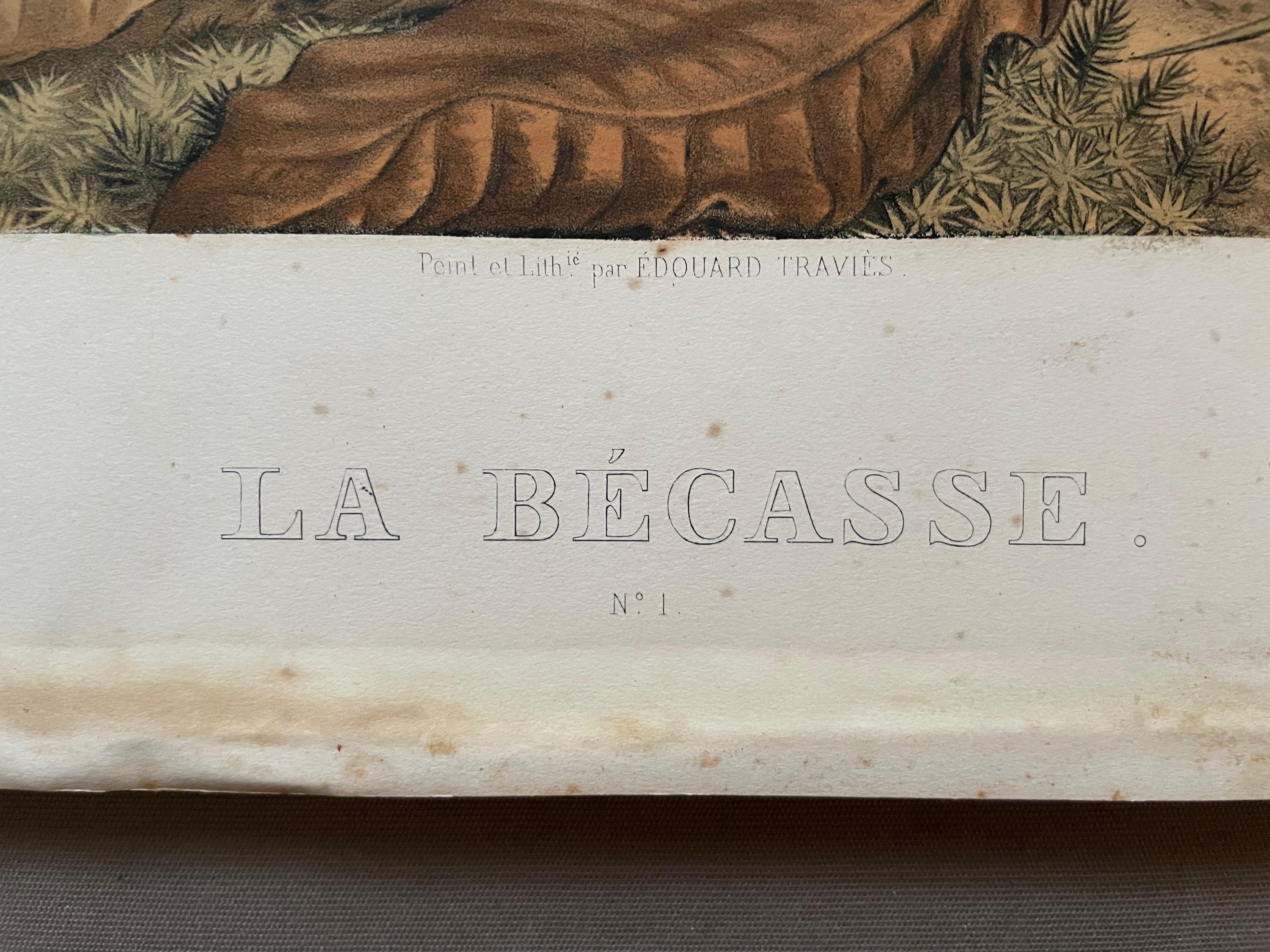 Edouard Traviès (1809-1869)
La Bécasse et La Perdrix Grise.
Lithographs.
Partially glued on cardboard.
Water stains in the margins.
Foxing on the woodcock.
49 x 63 cm