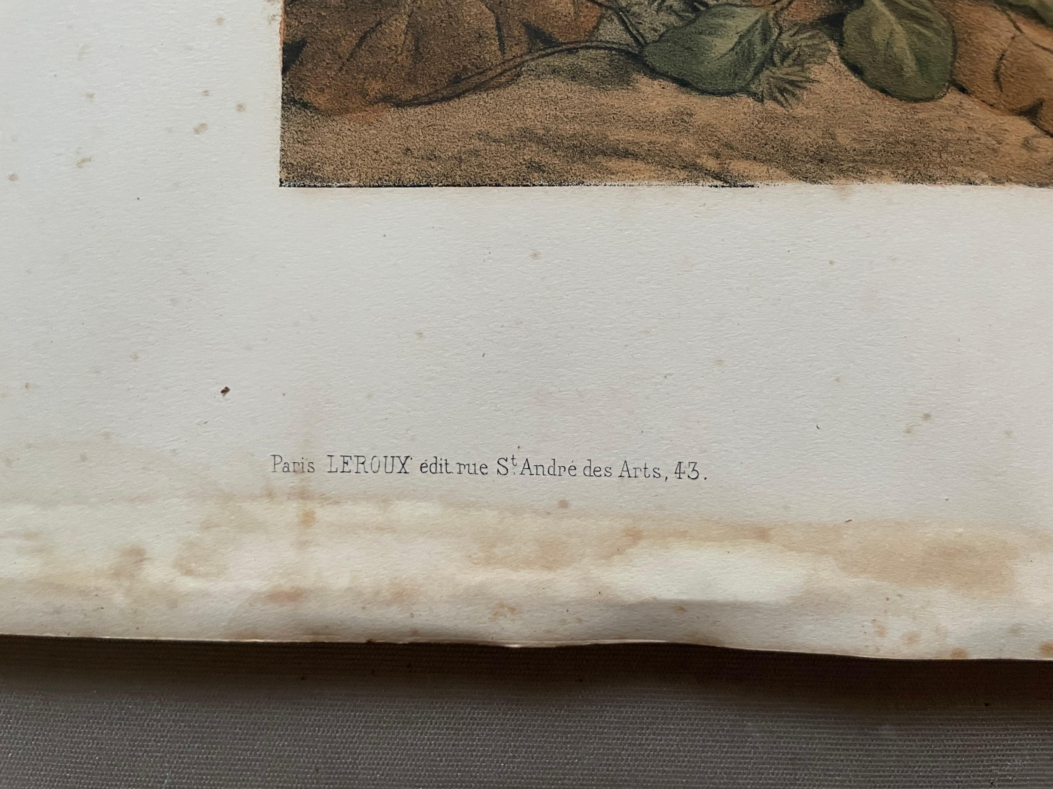 The Woodcock And The Grey Partridge, Two Lithographs By Edouard Traviès 1
