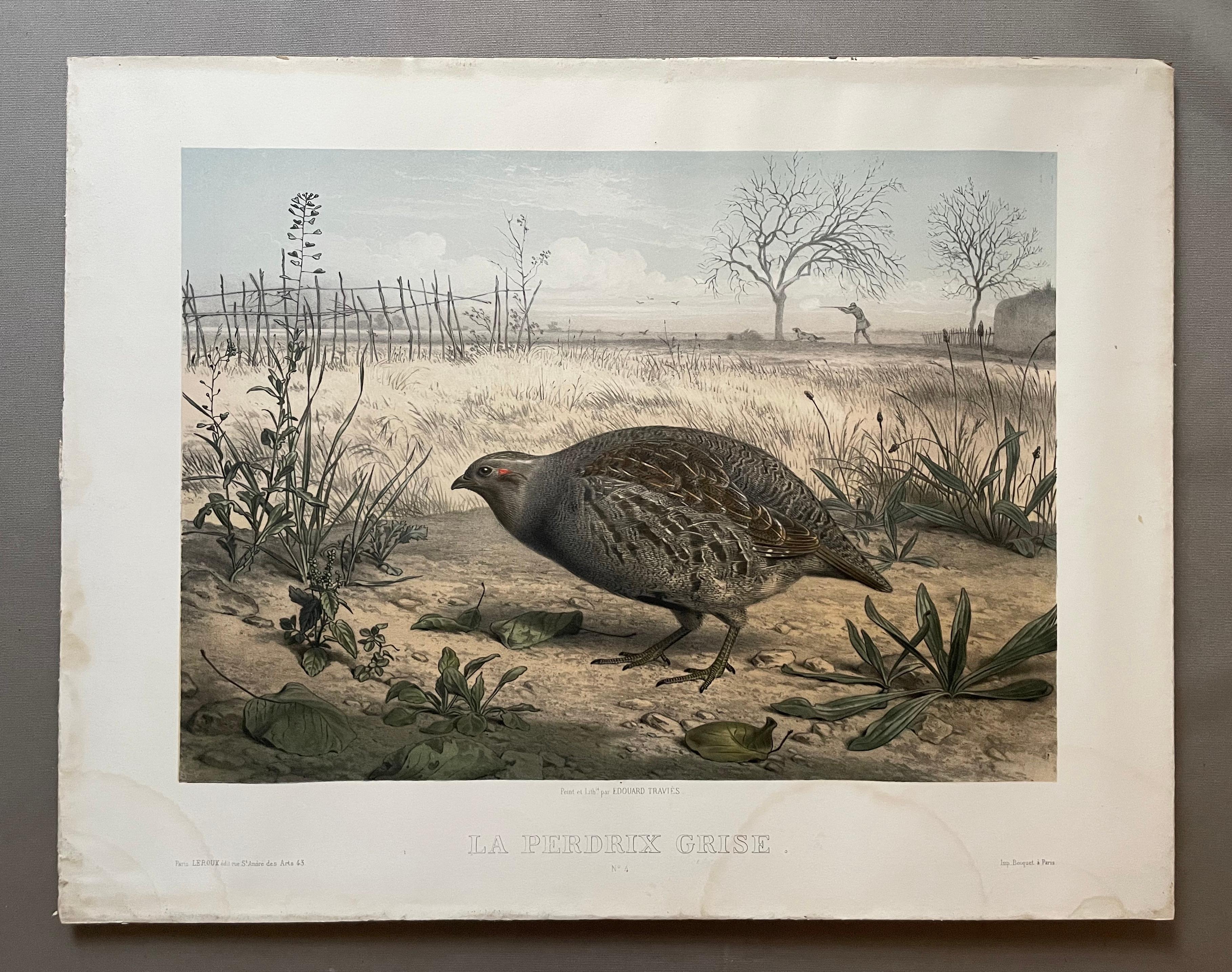 The Woodcock And The Grey Partridge, Two Lithographs By Edouard Traviès 3