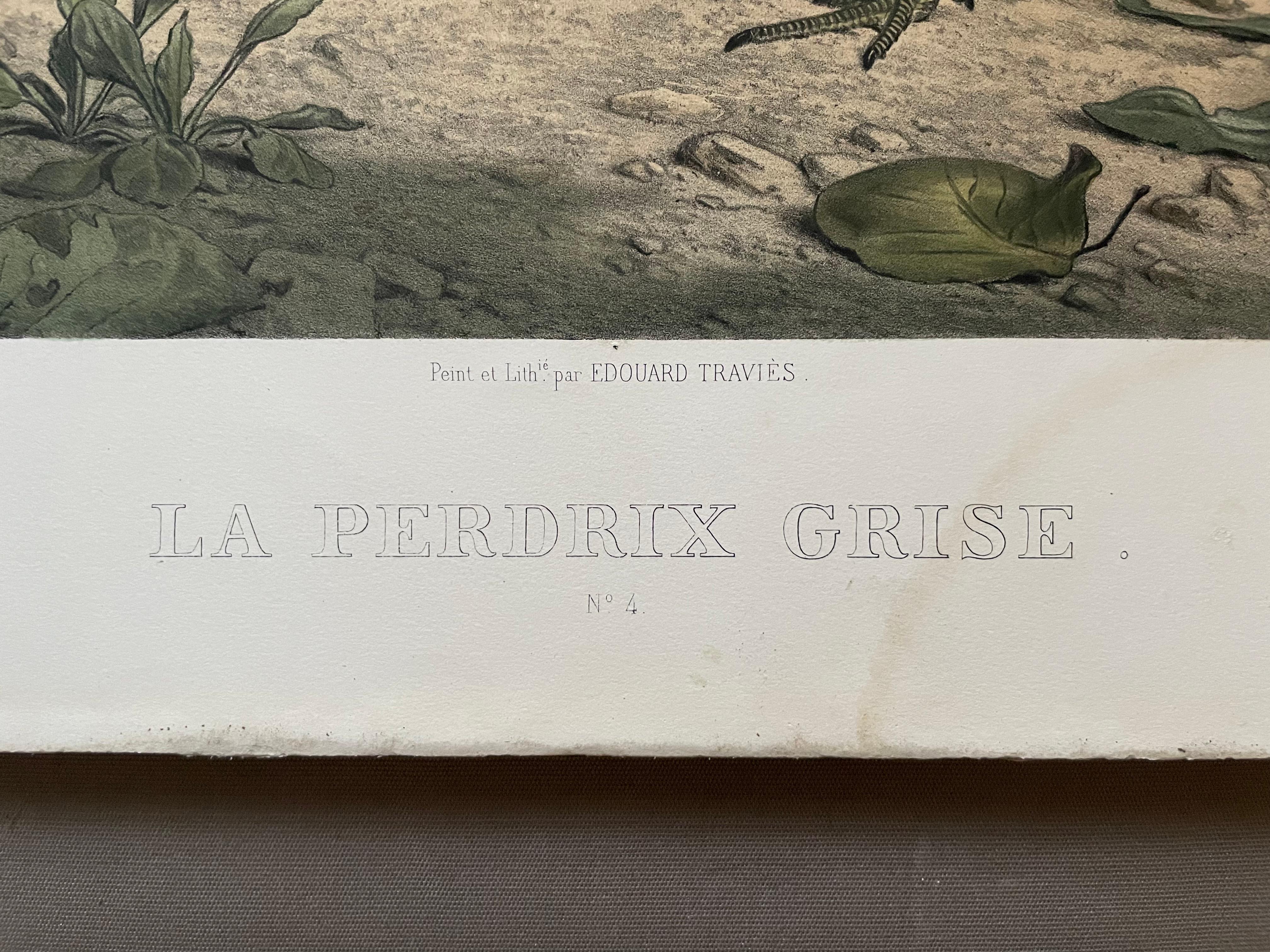 The Woodcock And The Grey Partridge, Two Lithographs By Edouard Traviès 5