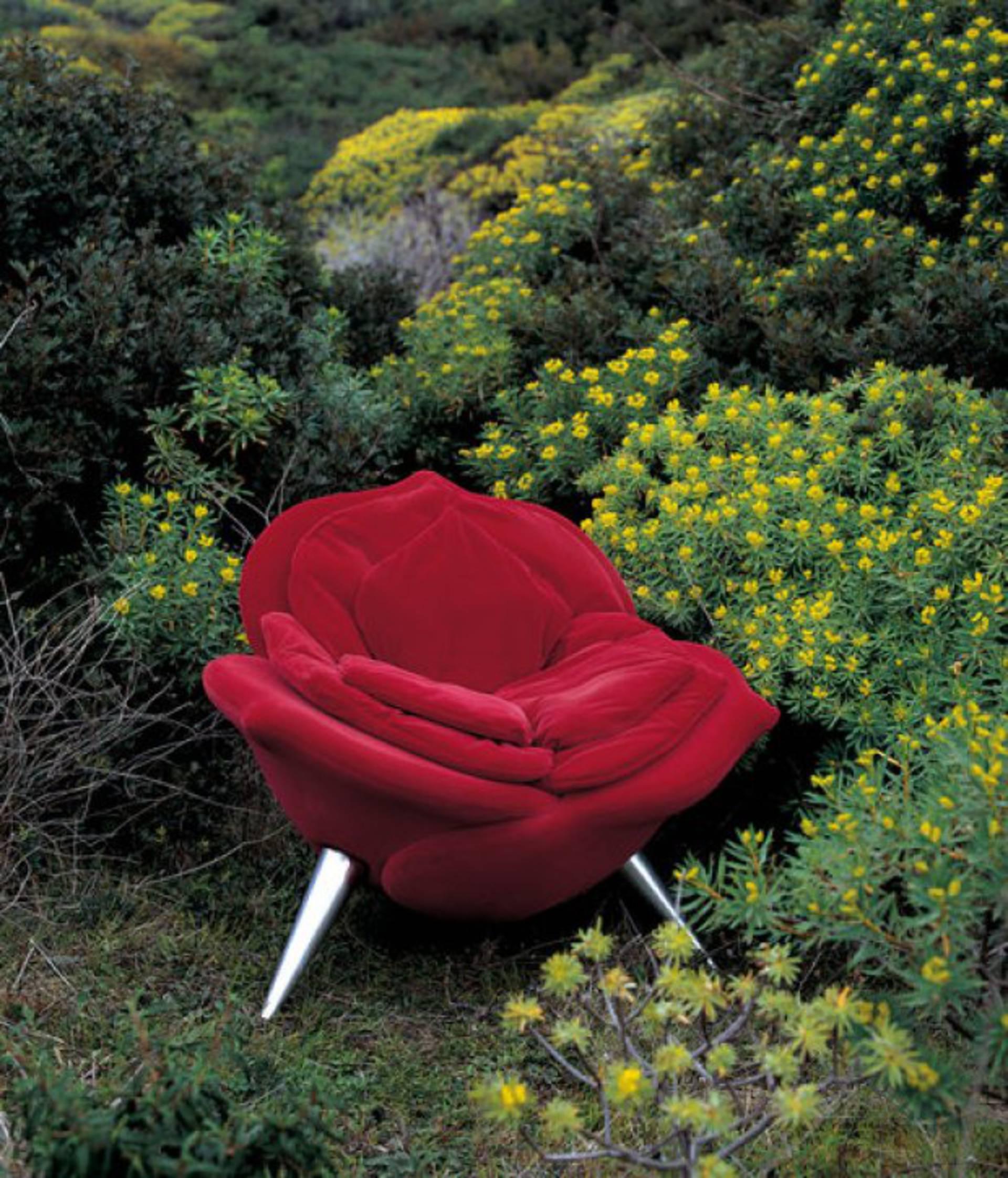 rose chair edra