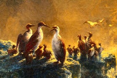 Cormoranes al atardecer en el Ártico