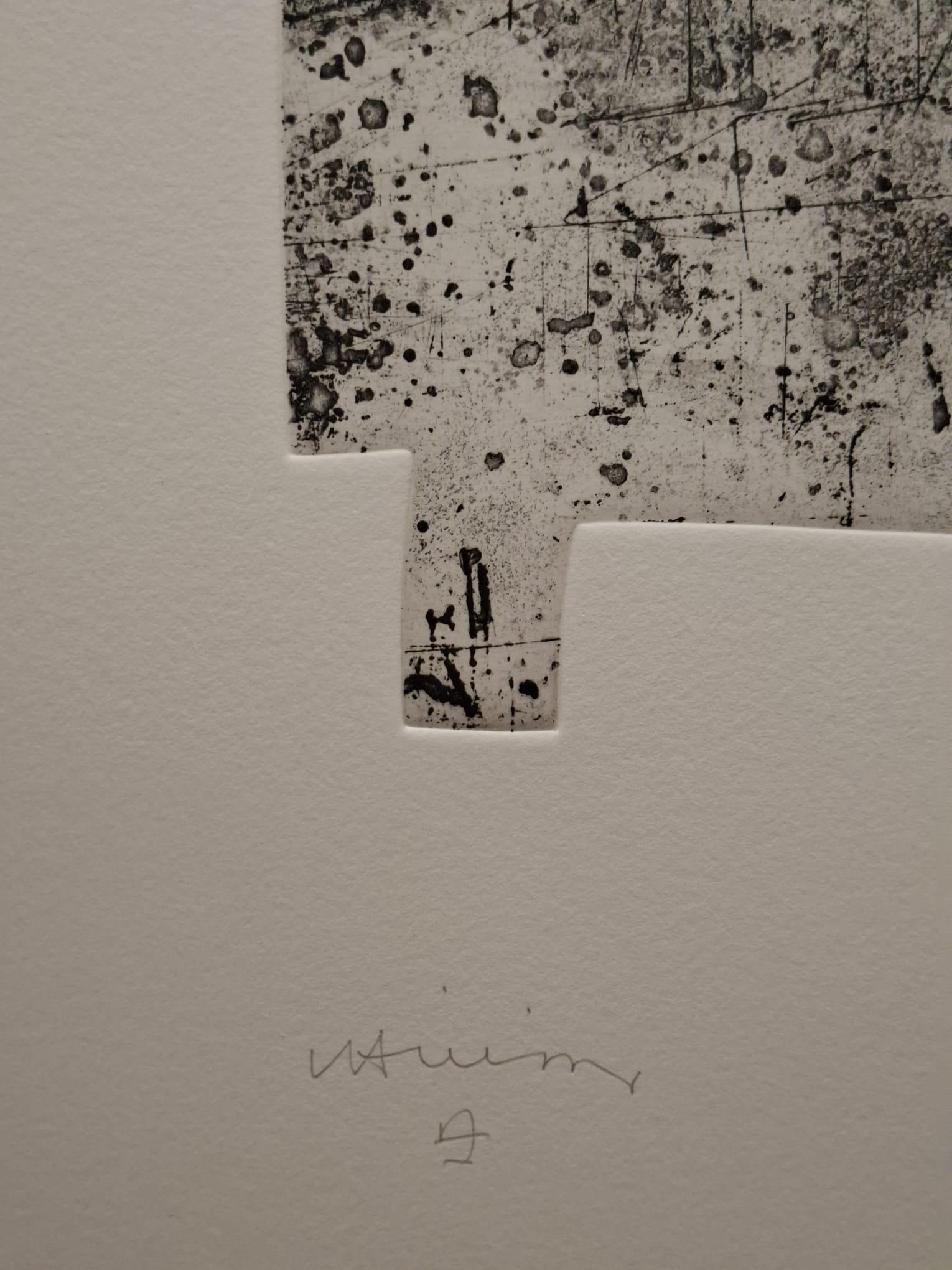 La Ninfa del Silencio - Print de Eduardo Chillida