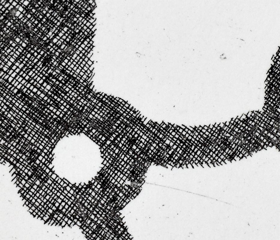 This original etching is hand signed in pencil by the artist “Chillida” at the lower left margin.
It is also hand numbered in pencil from the edition of 100, at the lower right margin. There were also 20 artist’s proofs and 10 hors commerce [out of