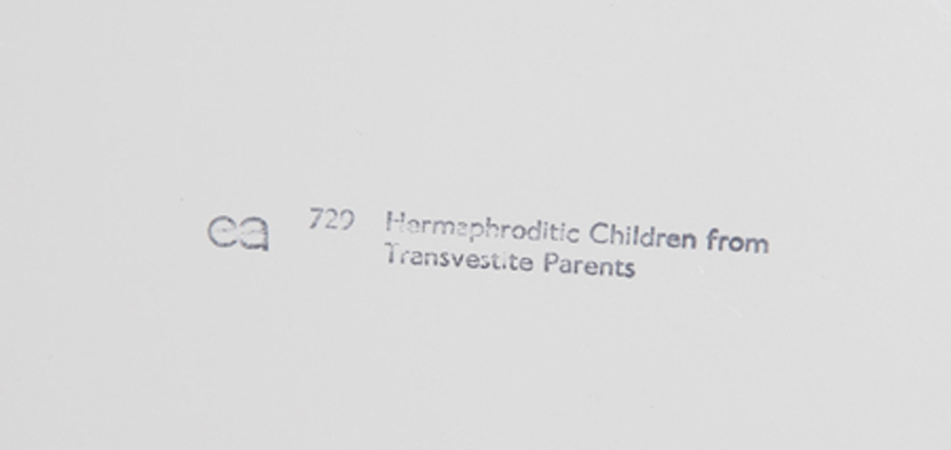 Hermaphrodite Children from Transvestite Parents, Pop Art Lithograph by Paolozzi For Sale 1