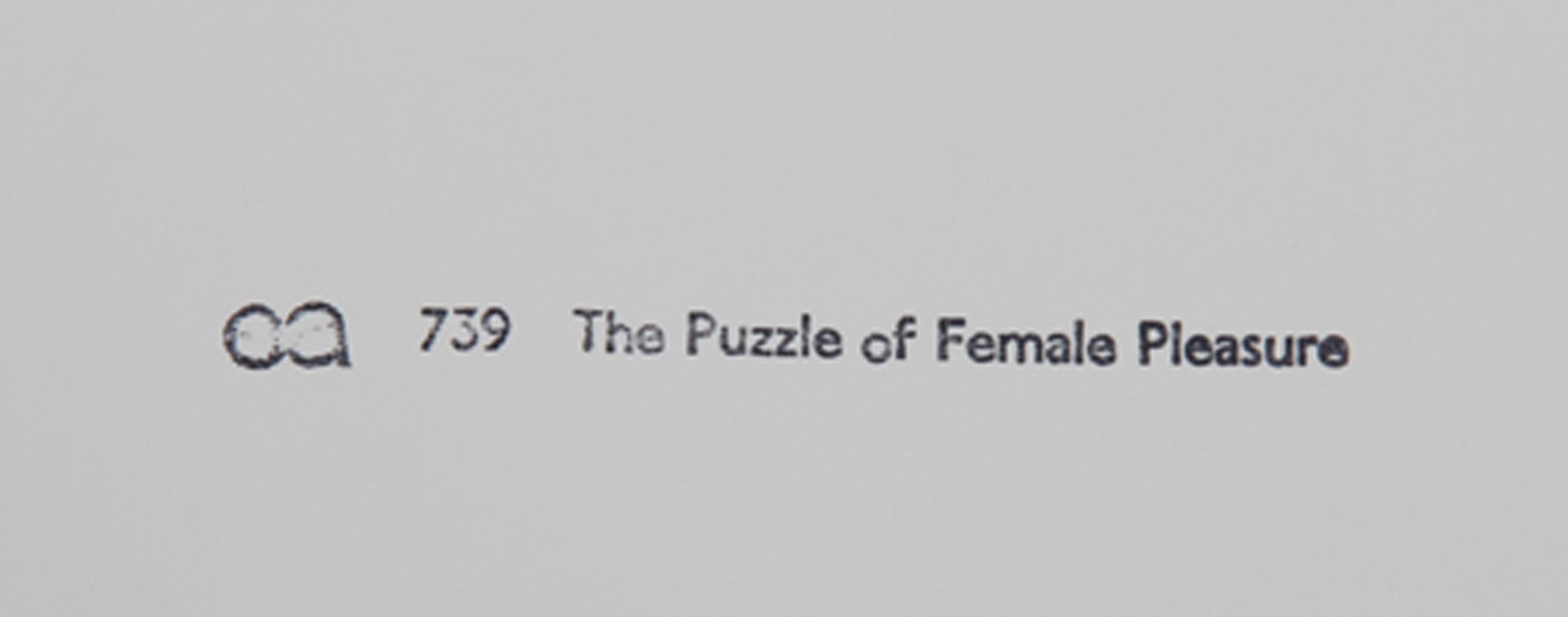 The Puzzle of Female Pleasure, Pop Art Lithograph by Eduardo Paolozzi For Sale 4